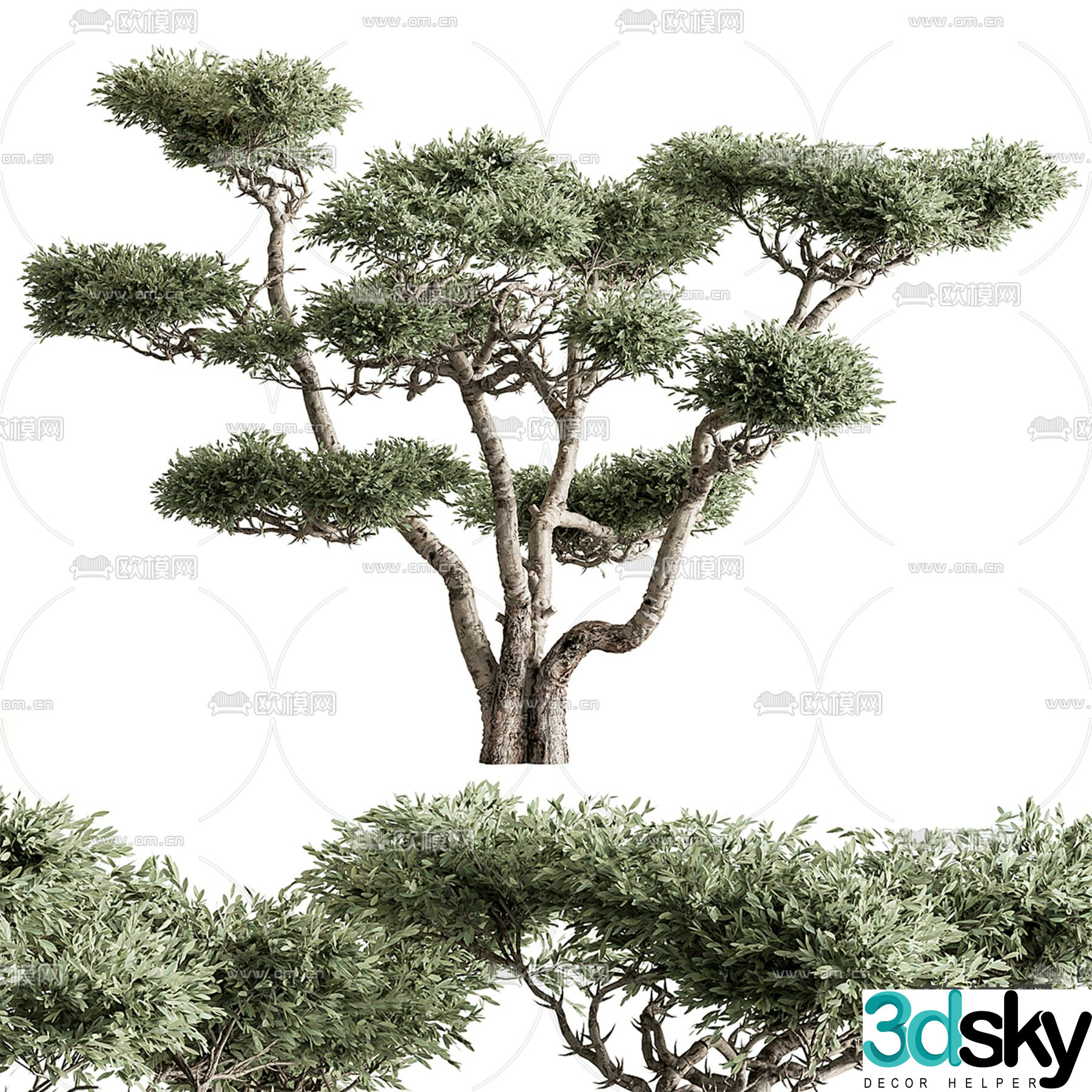 Landscape tree Big tree 3d model