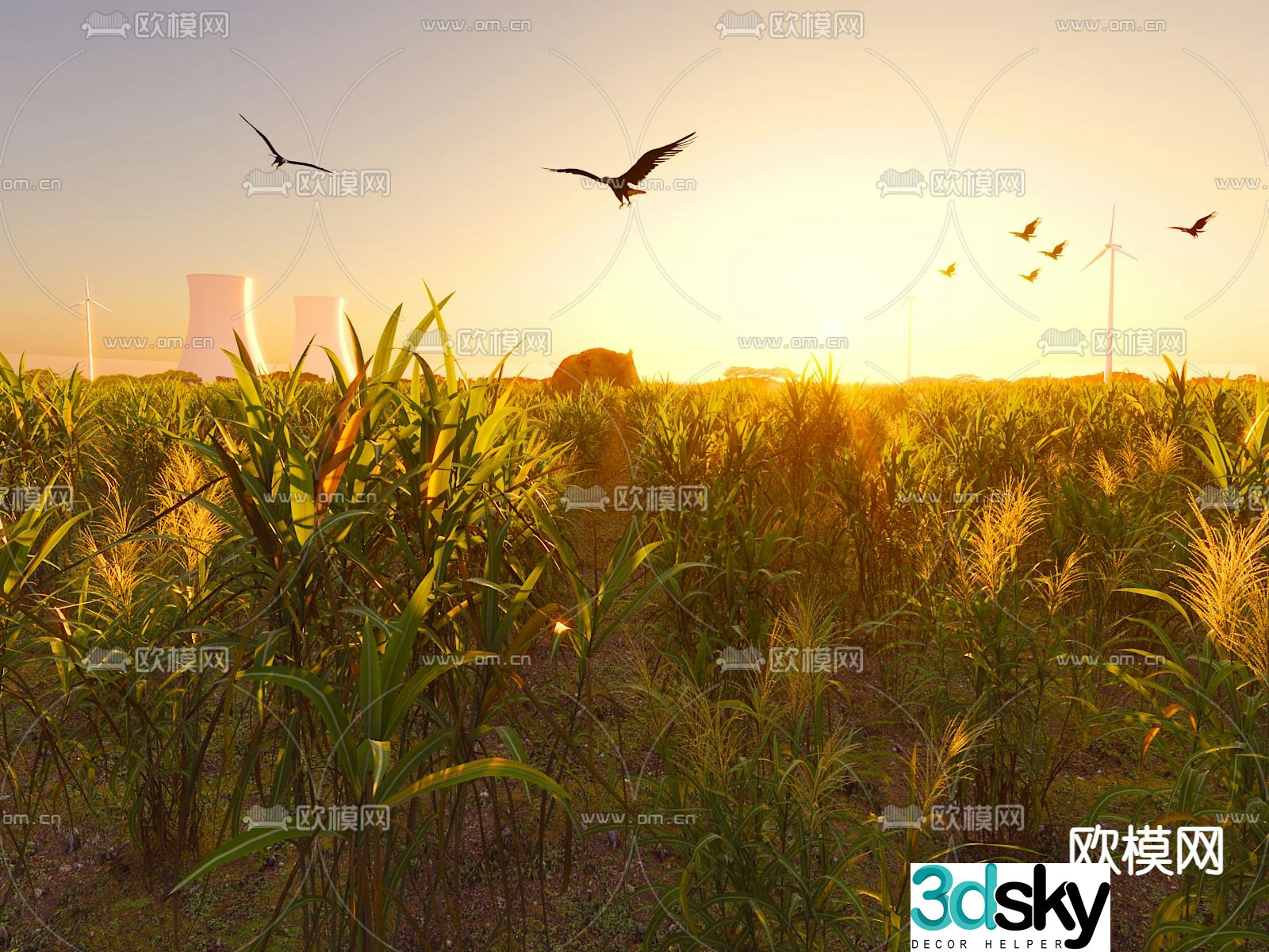crops corn grain rice field field 3d model