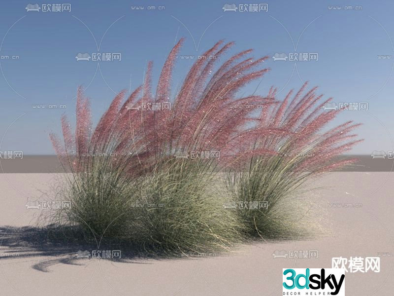 Hay Dried Flowers Reed Marsh Grass 3D Model