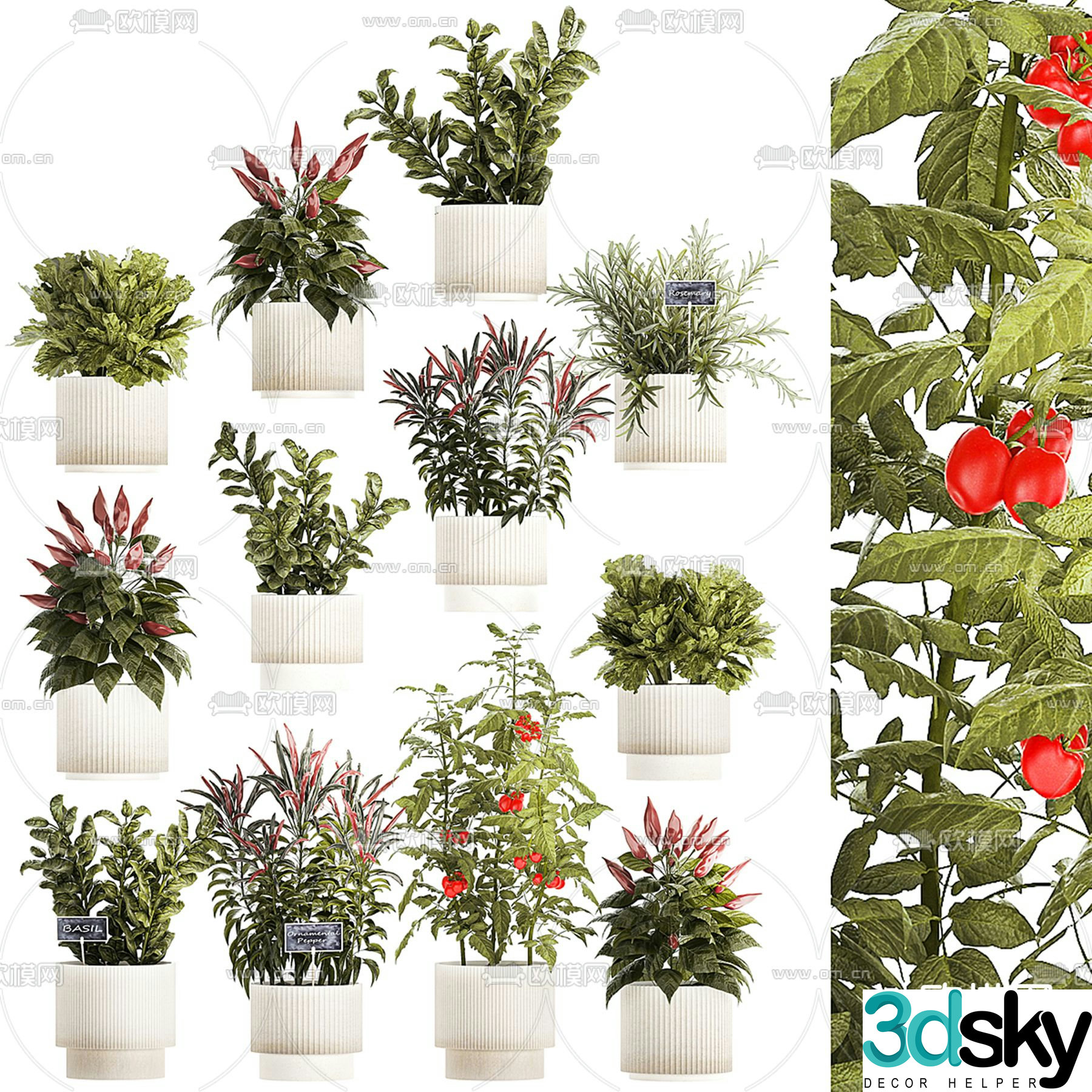 Vegetable potted bonsai 3d model