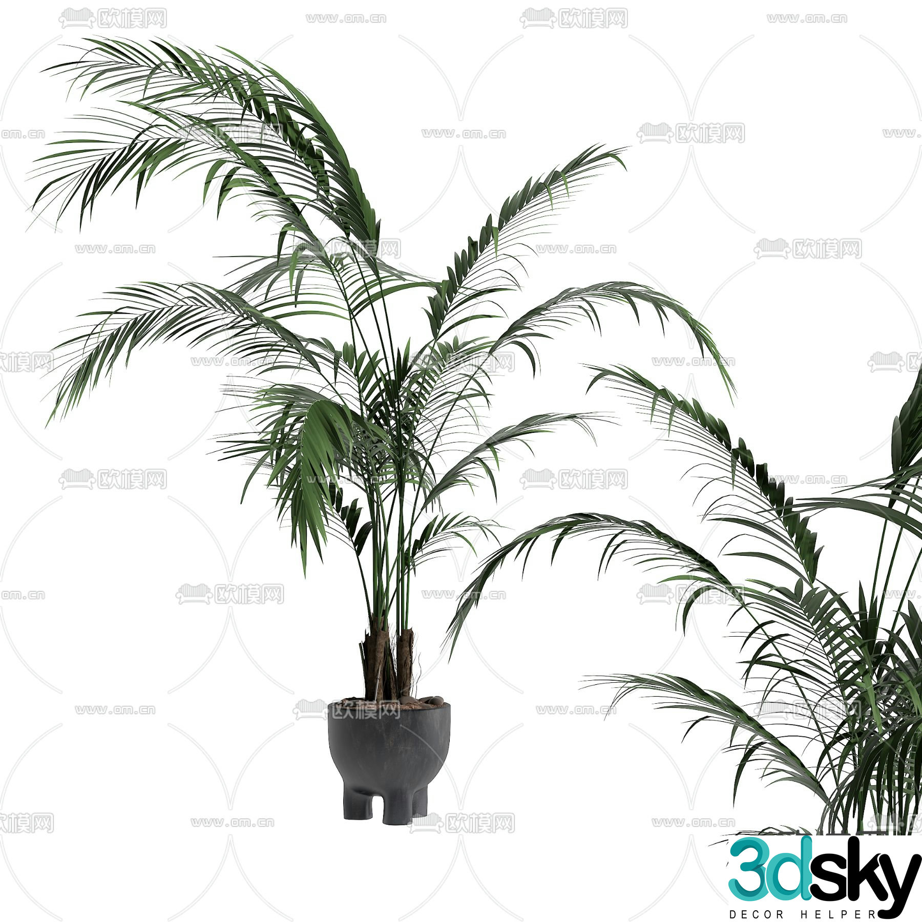 Green plants plant potted plants 3D model