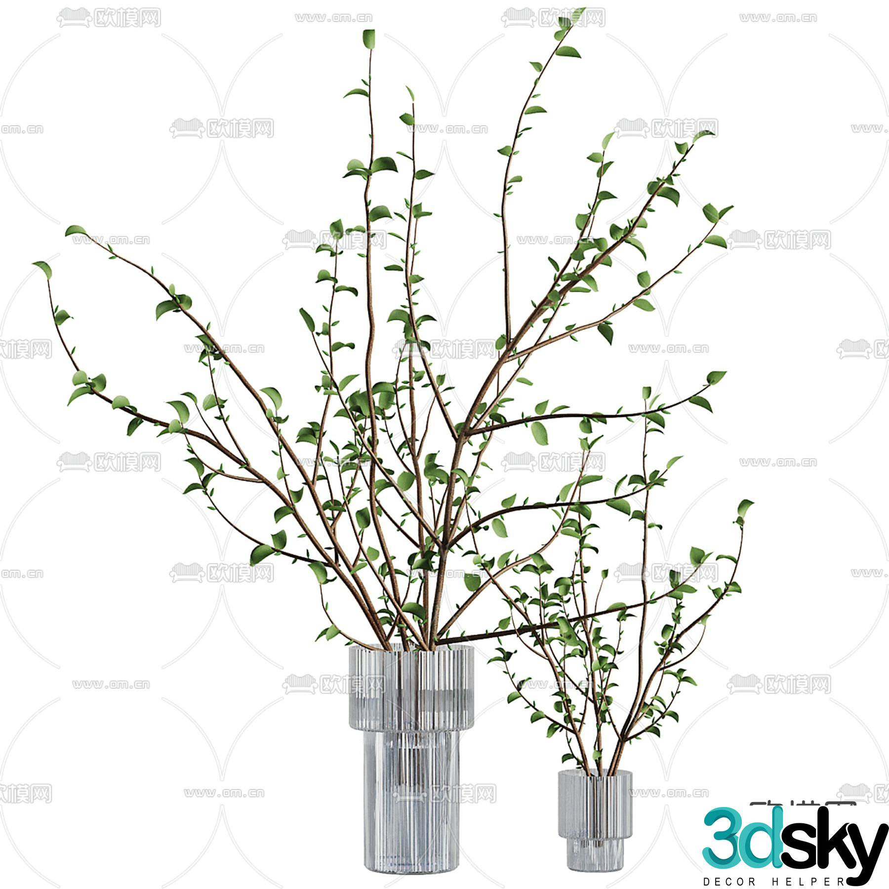 Aquatic plants hydroponic green plants 3D model