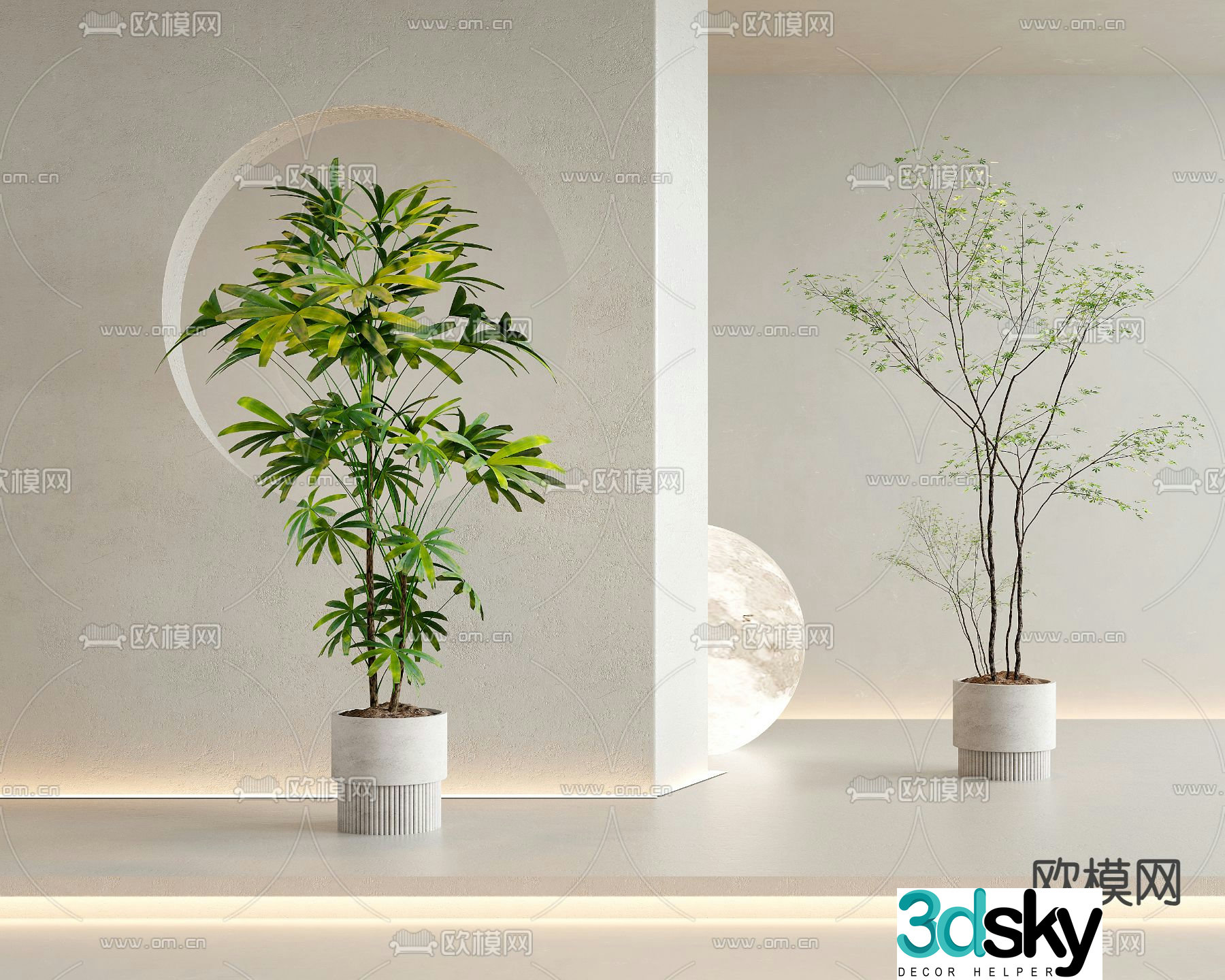 Potted plants Bonsai Green plants 3D model