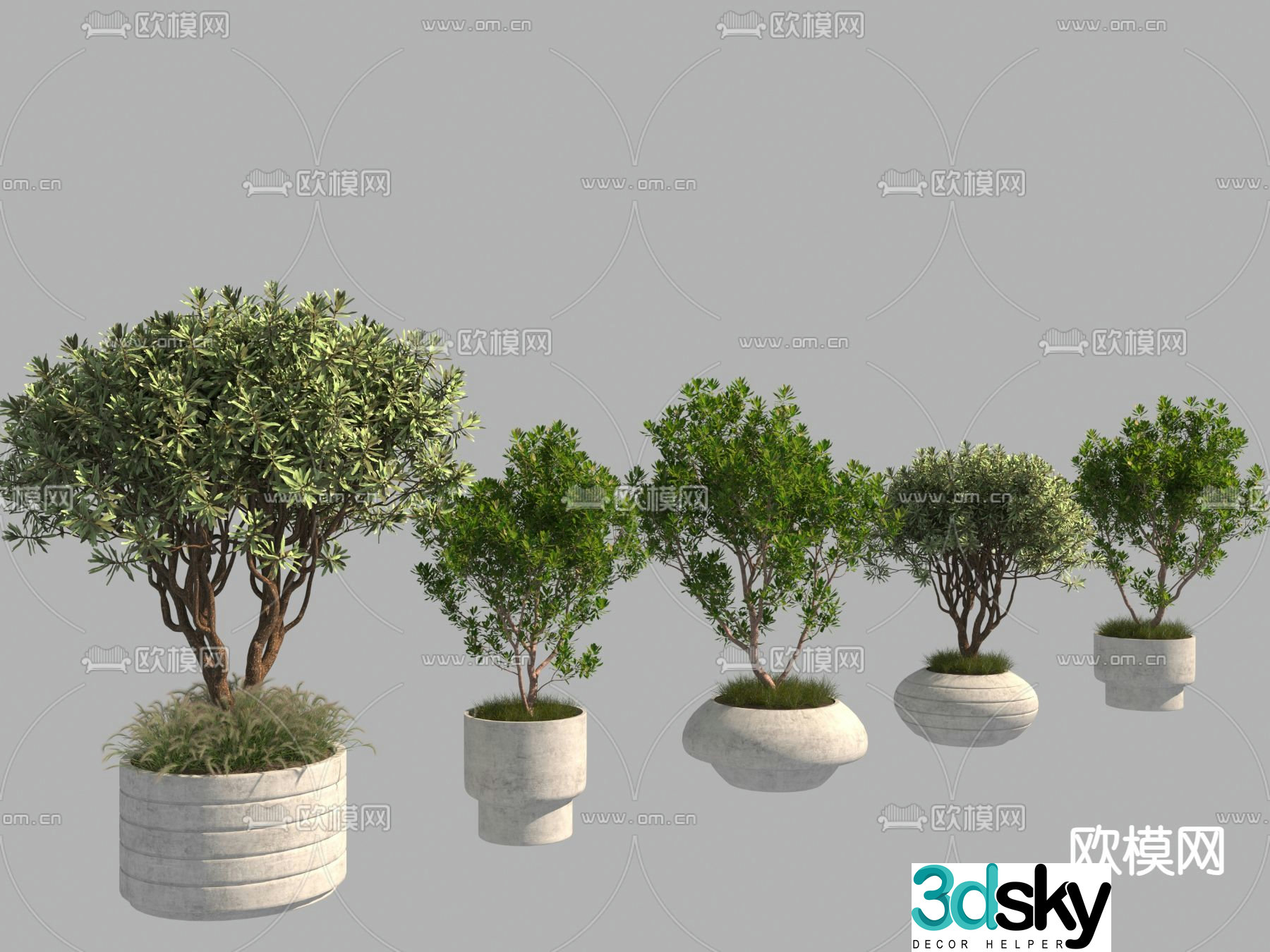 Potted plants Bonsai Tree Pool 3D Model