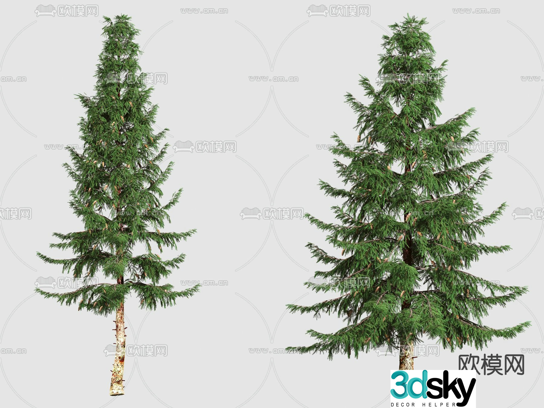 tree landscape tree conifer cedar 3d model
