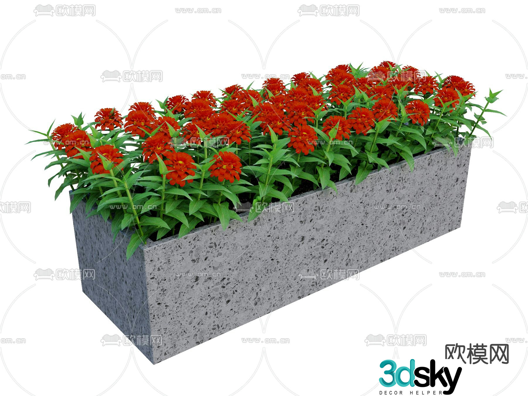 Zinnia Plant Garden Plant Flowerbed 3D Model