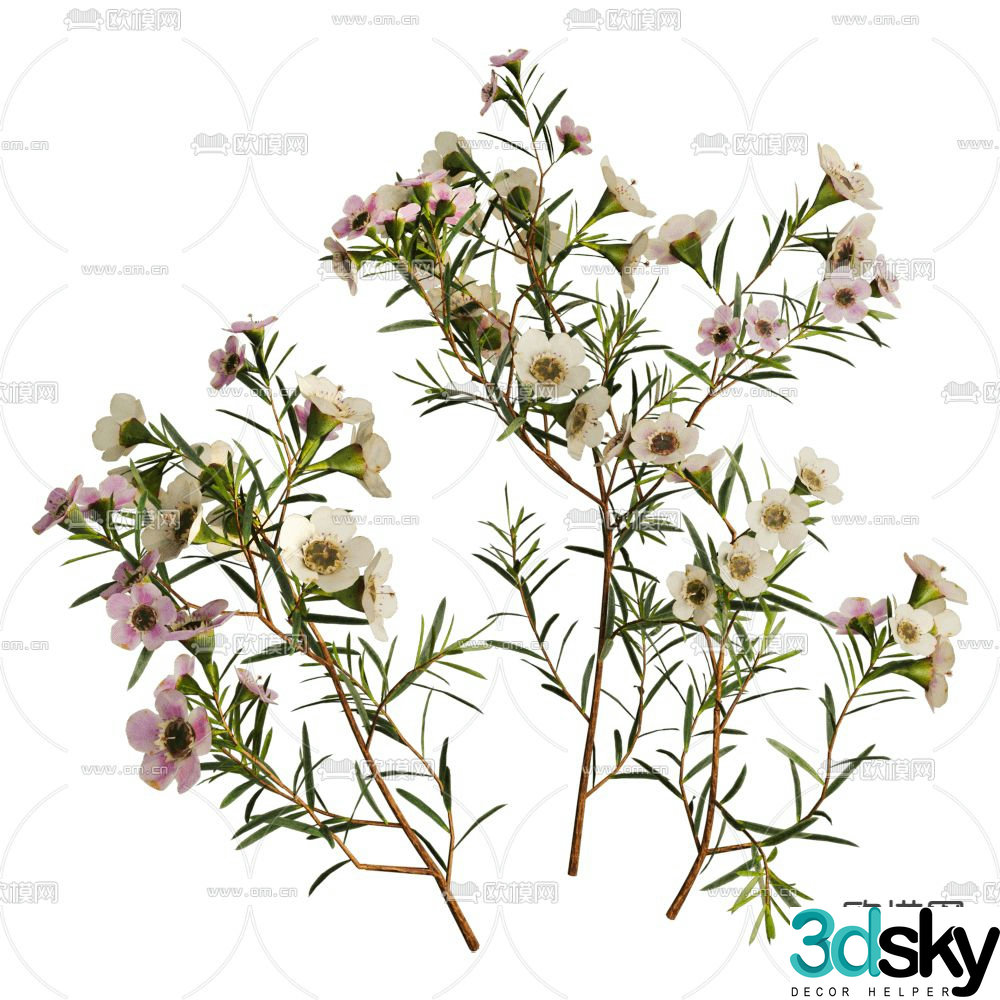 Flowers and plants bushes green plants 3d model