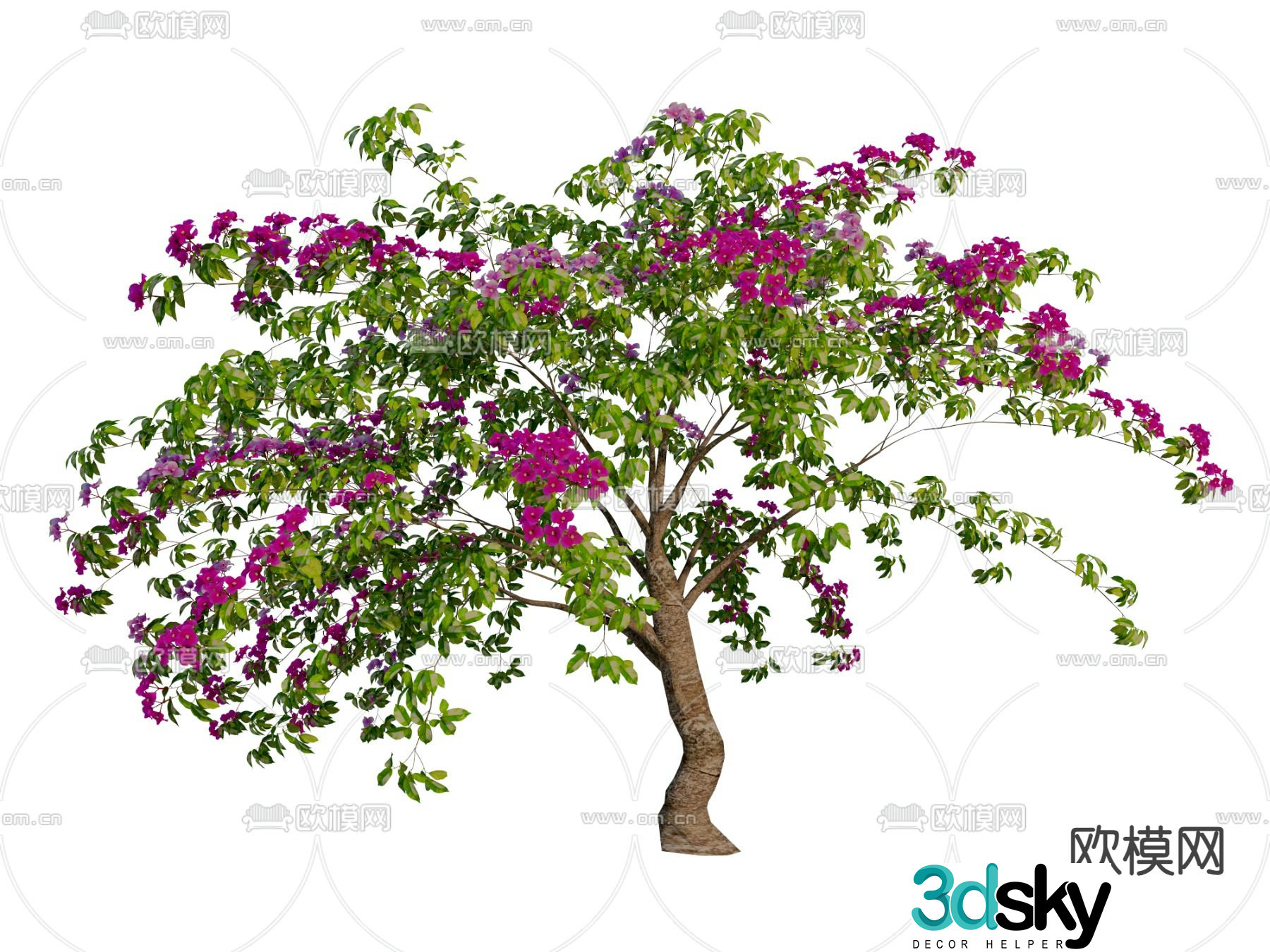 Leaf Flower Tree Garden Tree 3D Model