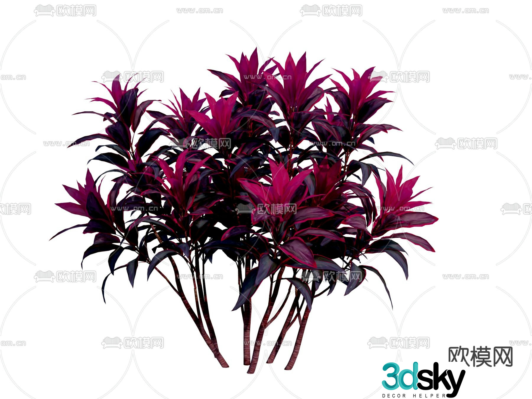 banana flowers garden plants flowers and plants 3d model