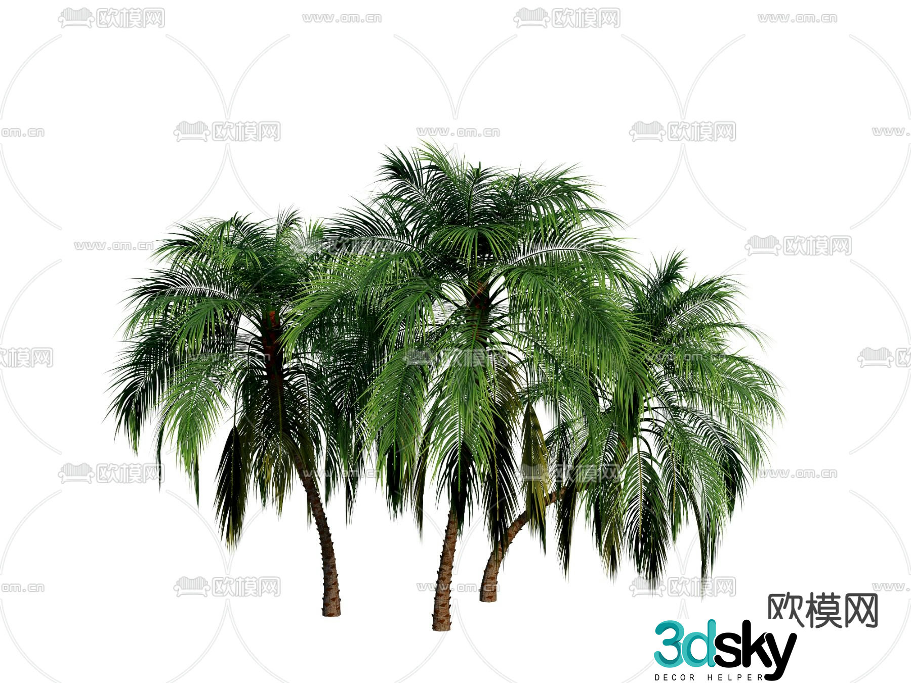 Needle sunflower landscape tree garden tree 3d model