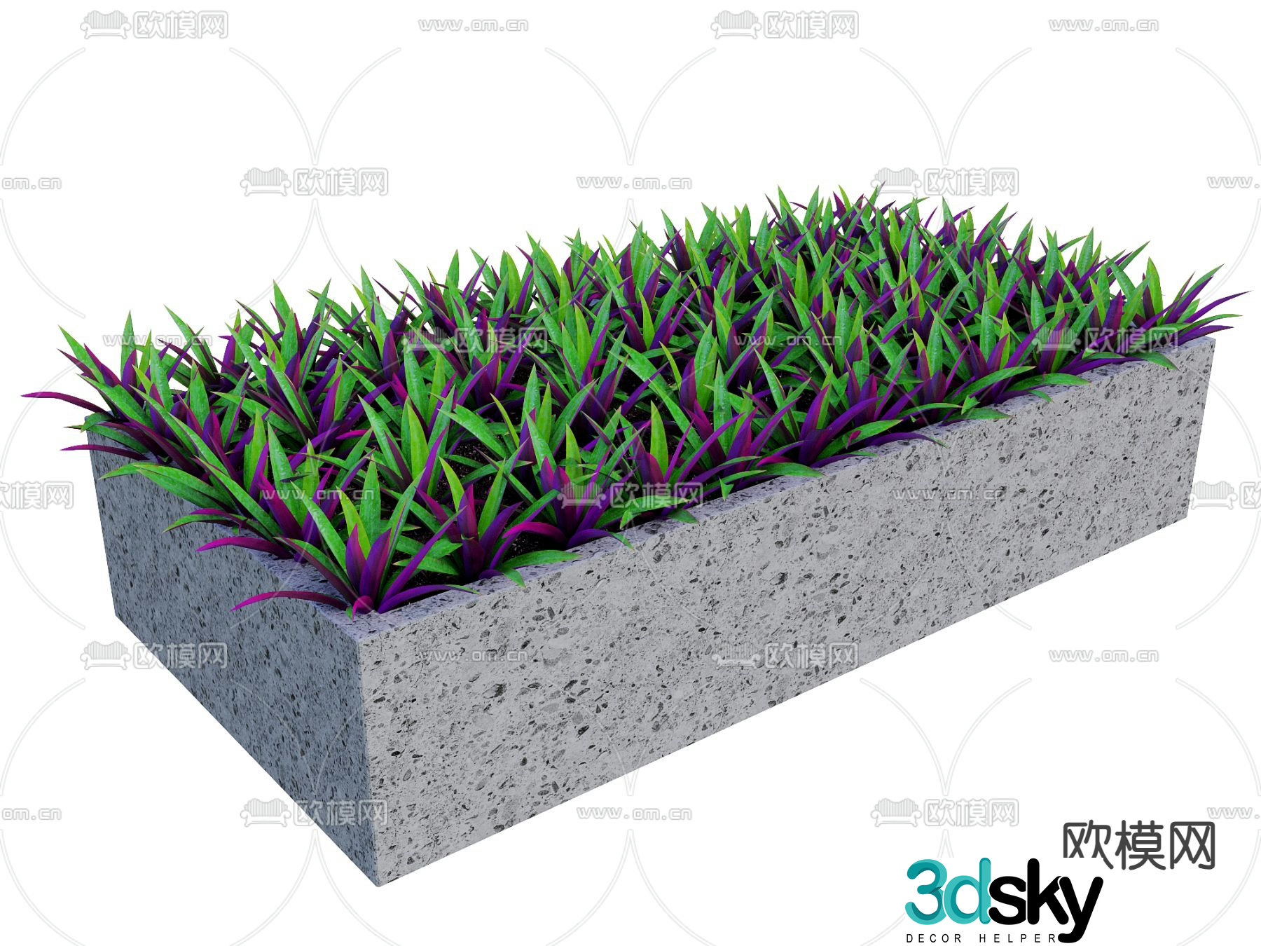 Small clams orchid plant flower bed garden plant 3d model