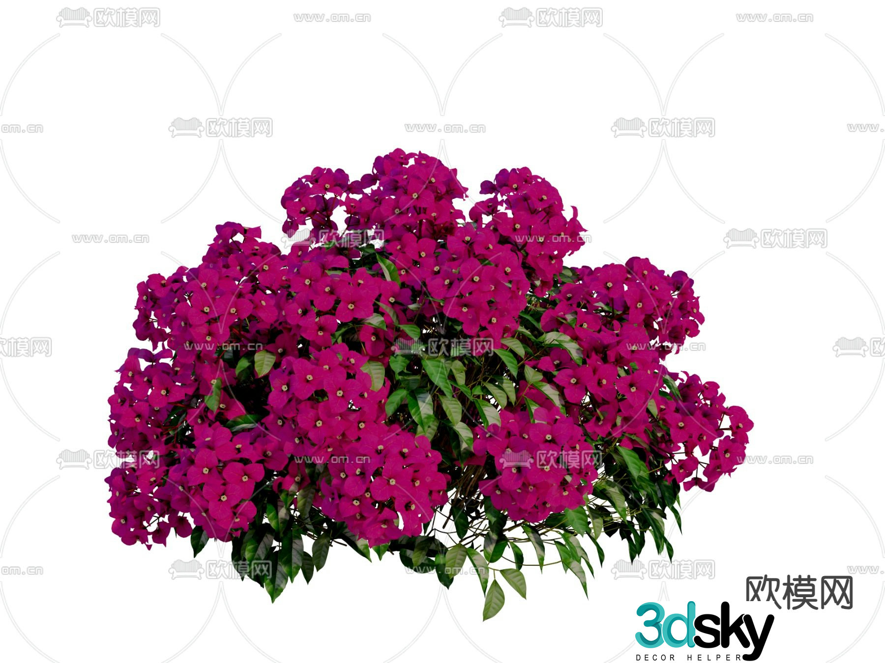 Leaf Flowers Plant Flowers Flowers 3D Model