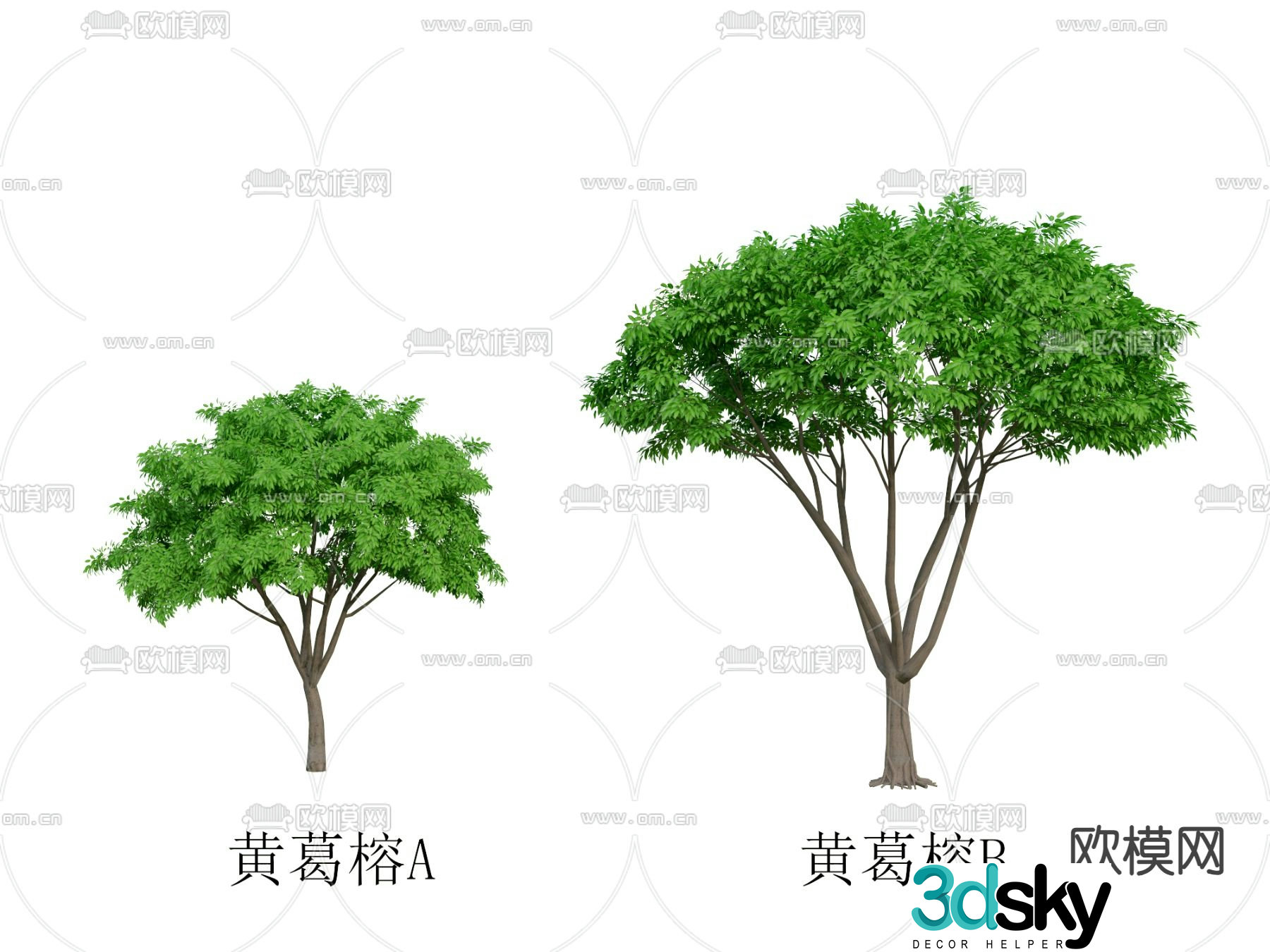 Yellow Pueraria banyan tree landscape tree street tree big tree 3d model