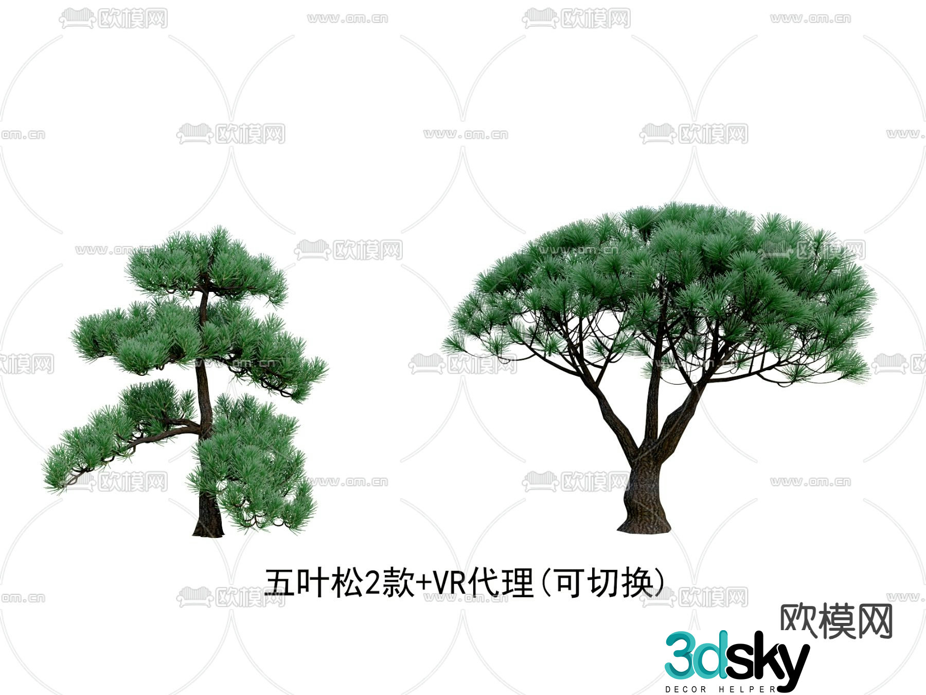 Five-leaf pine pine welcoming pine cypress big tree 3D model