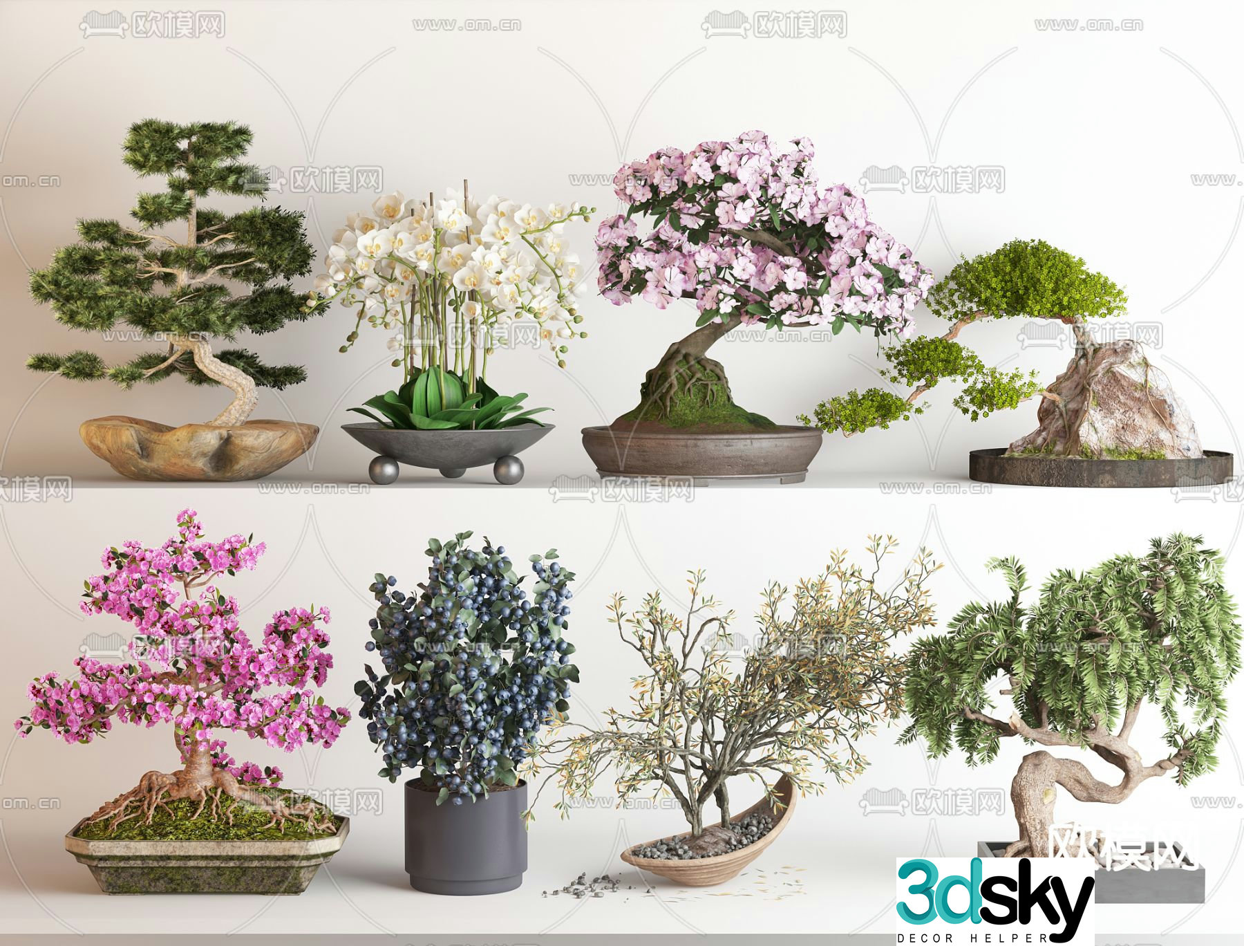 Modern flower pot pot plant 3d model