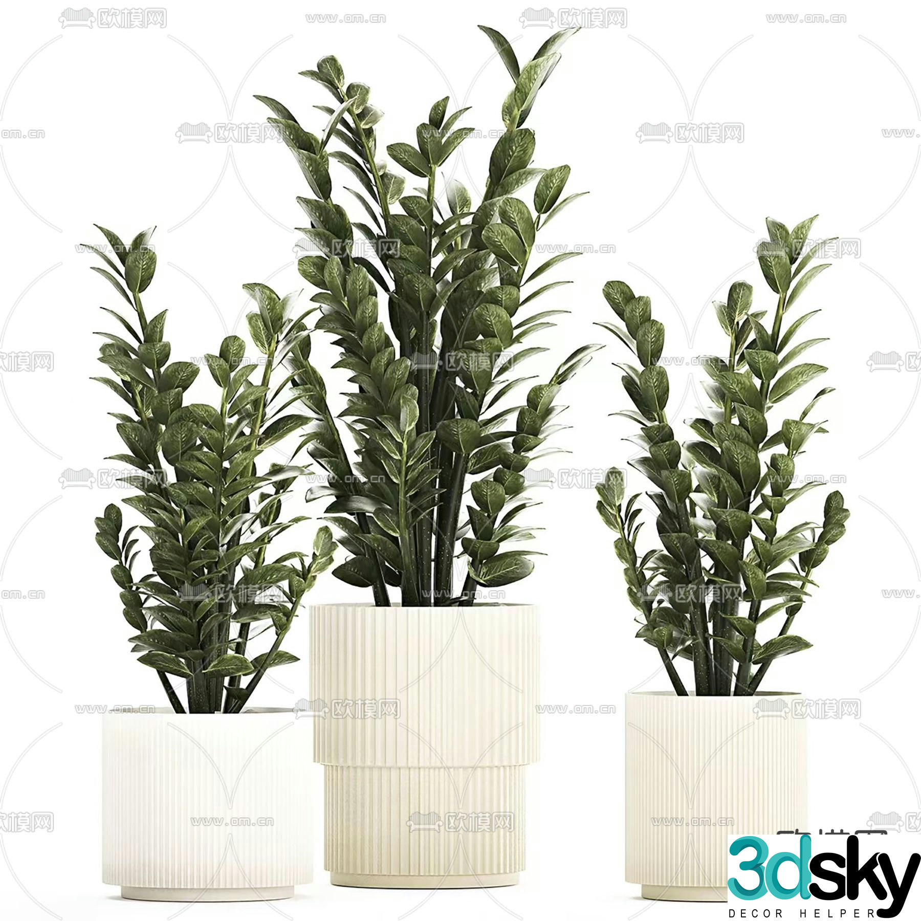 Indoor potted plant 3d model