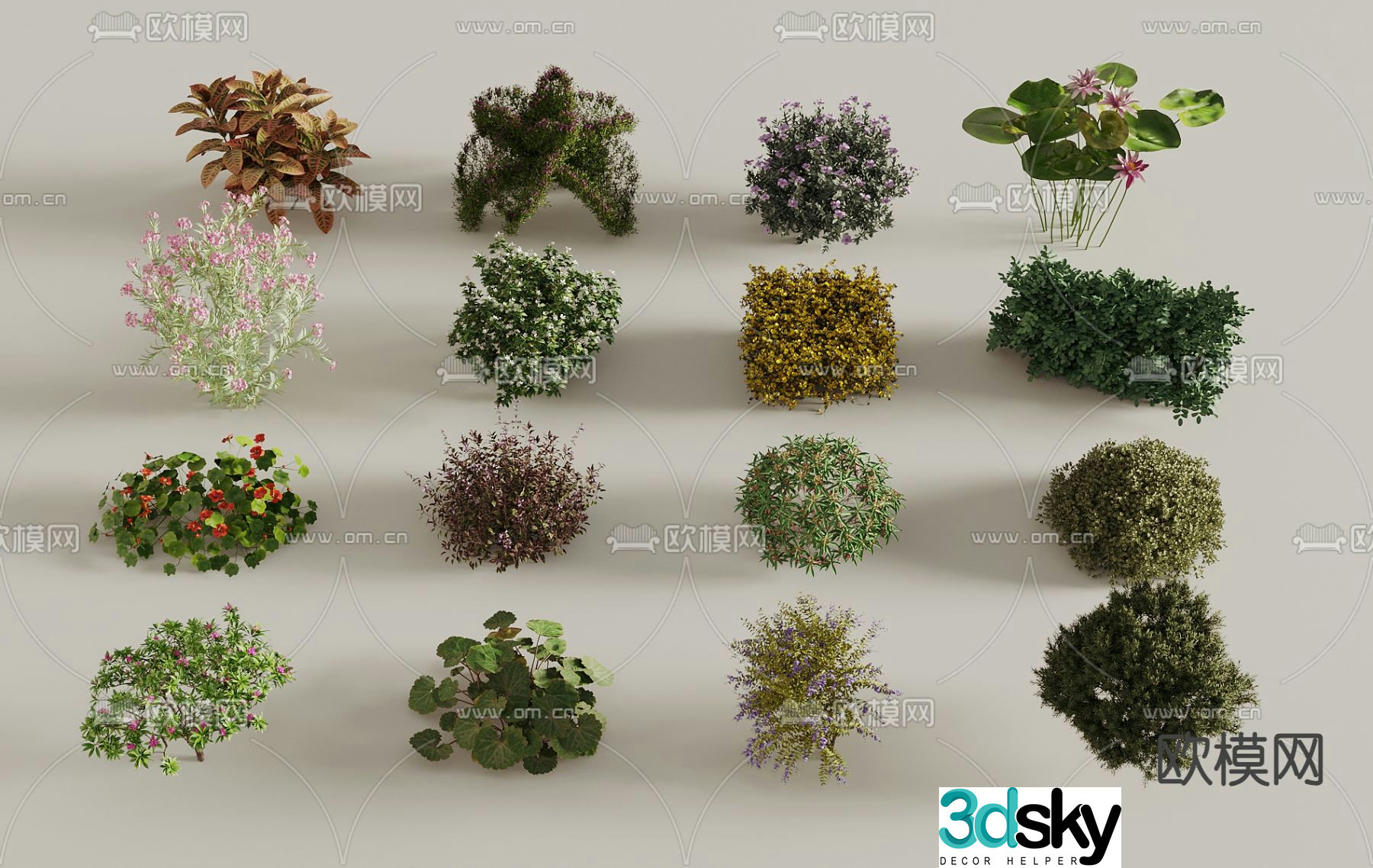 Flowers and plants 3d model