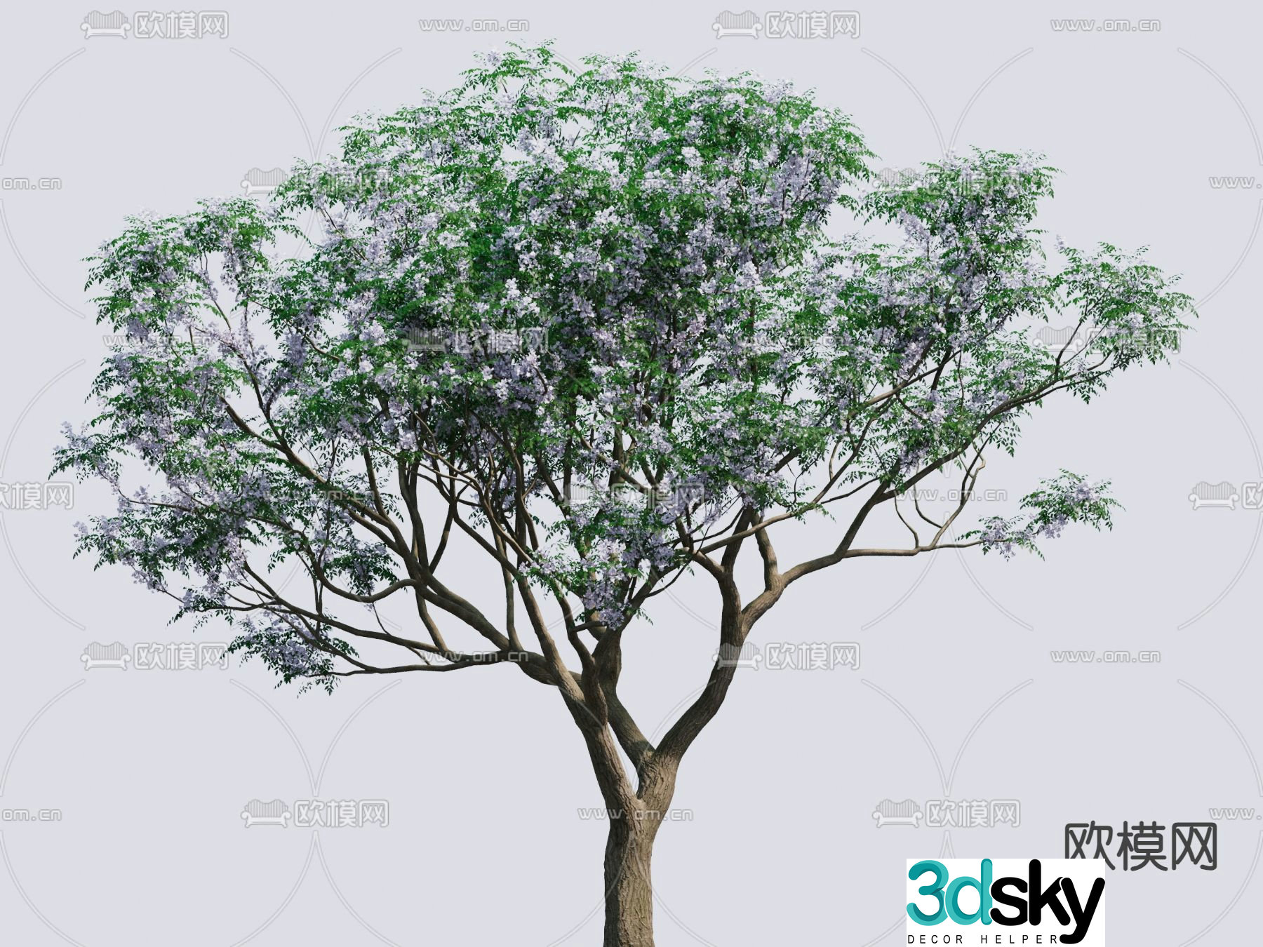 Neem flowering tree landscape tree 3d model