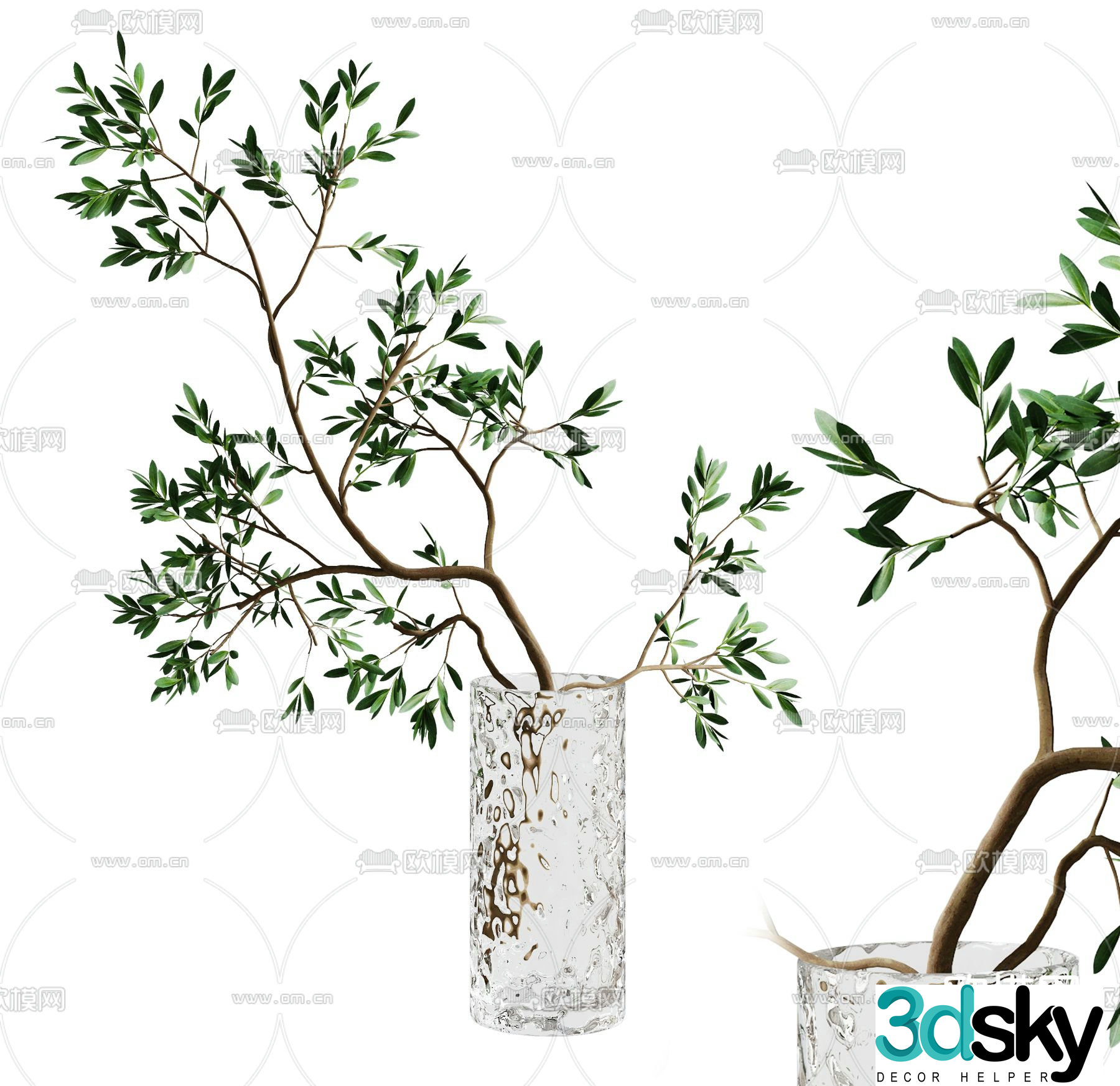 Modern aquatic plants green plant 3d model