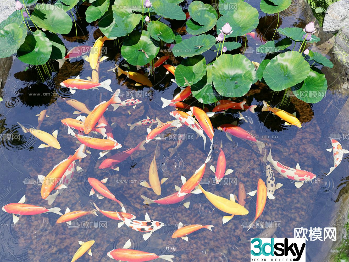 koi fish school lotus pond 3d model