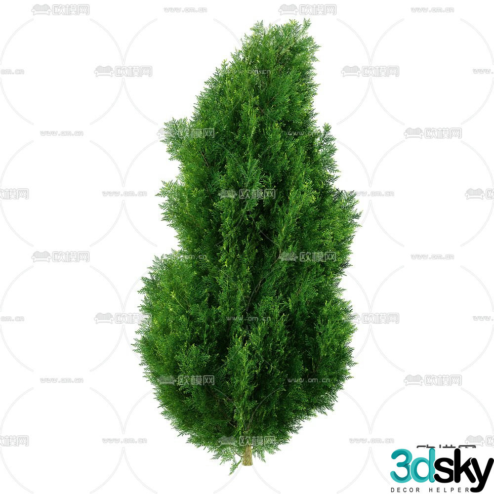Pine Tree Landscape Tree Shrub Plant 3D Model