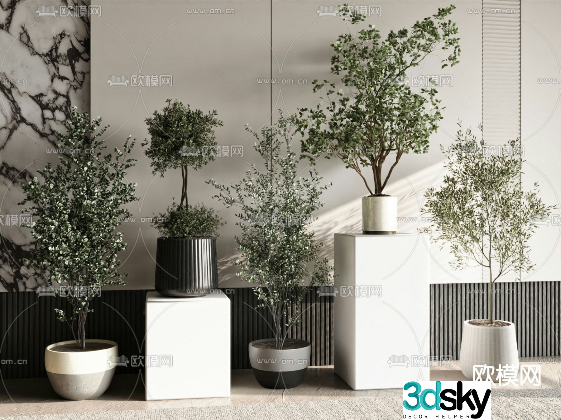 Potted plants Bonsai Green plants 3D model