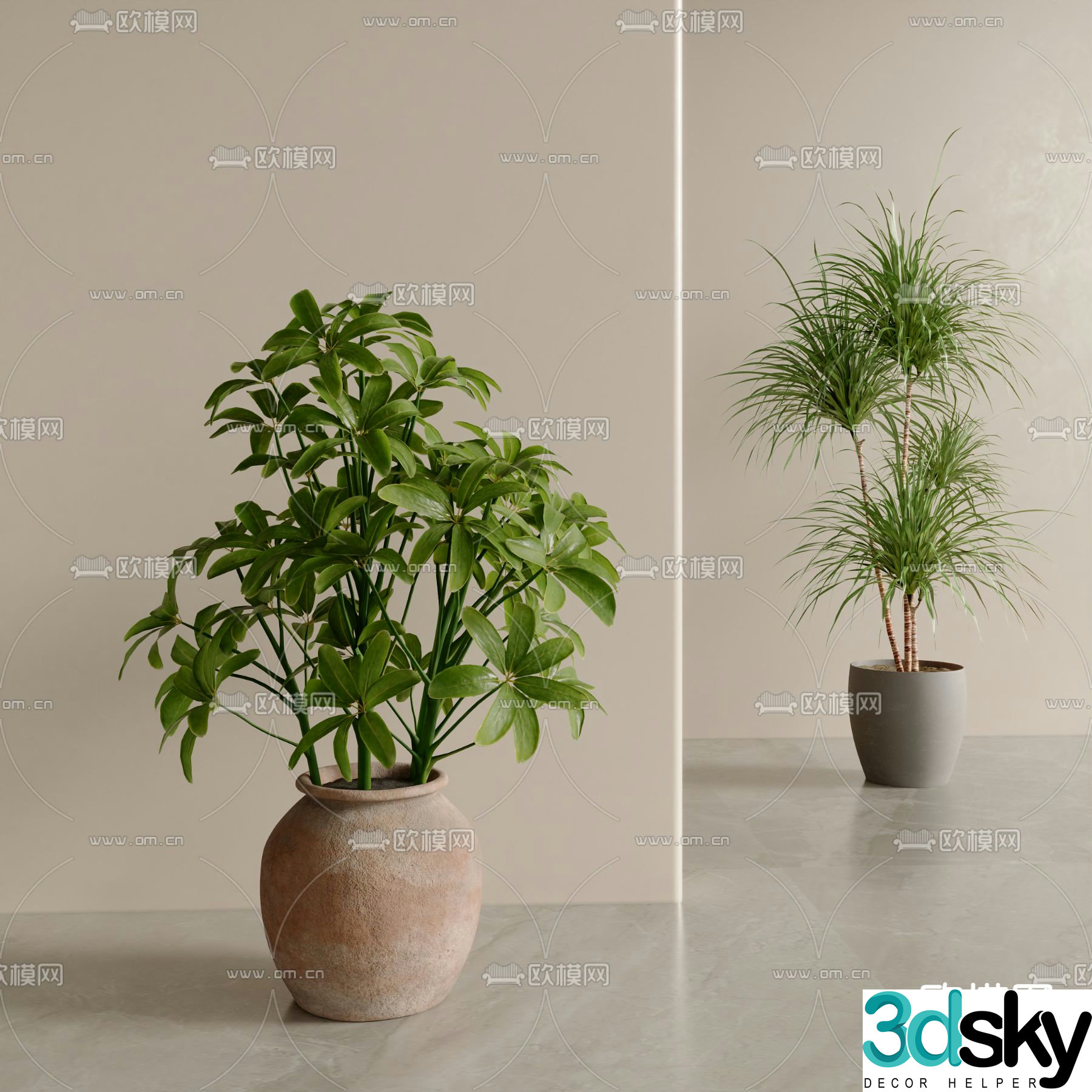 Green plant potted bonsai 3d model