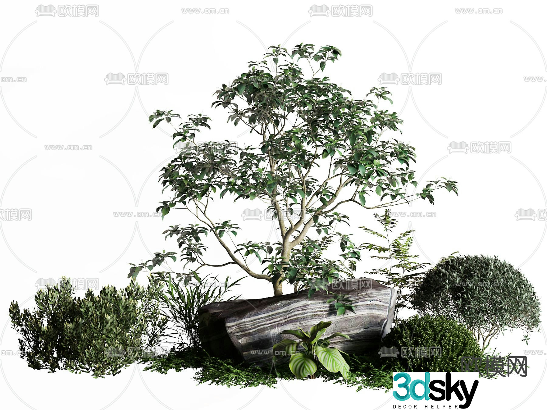 Styling Shrubs Pruning Shrubs Landscape Tree 3D Model