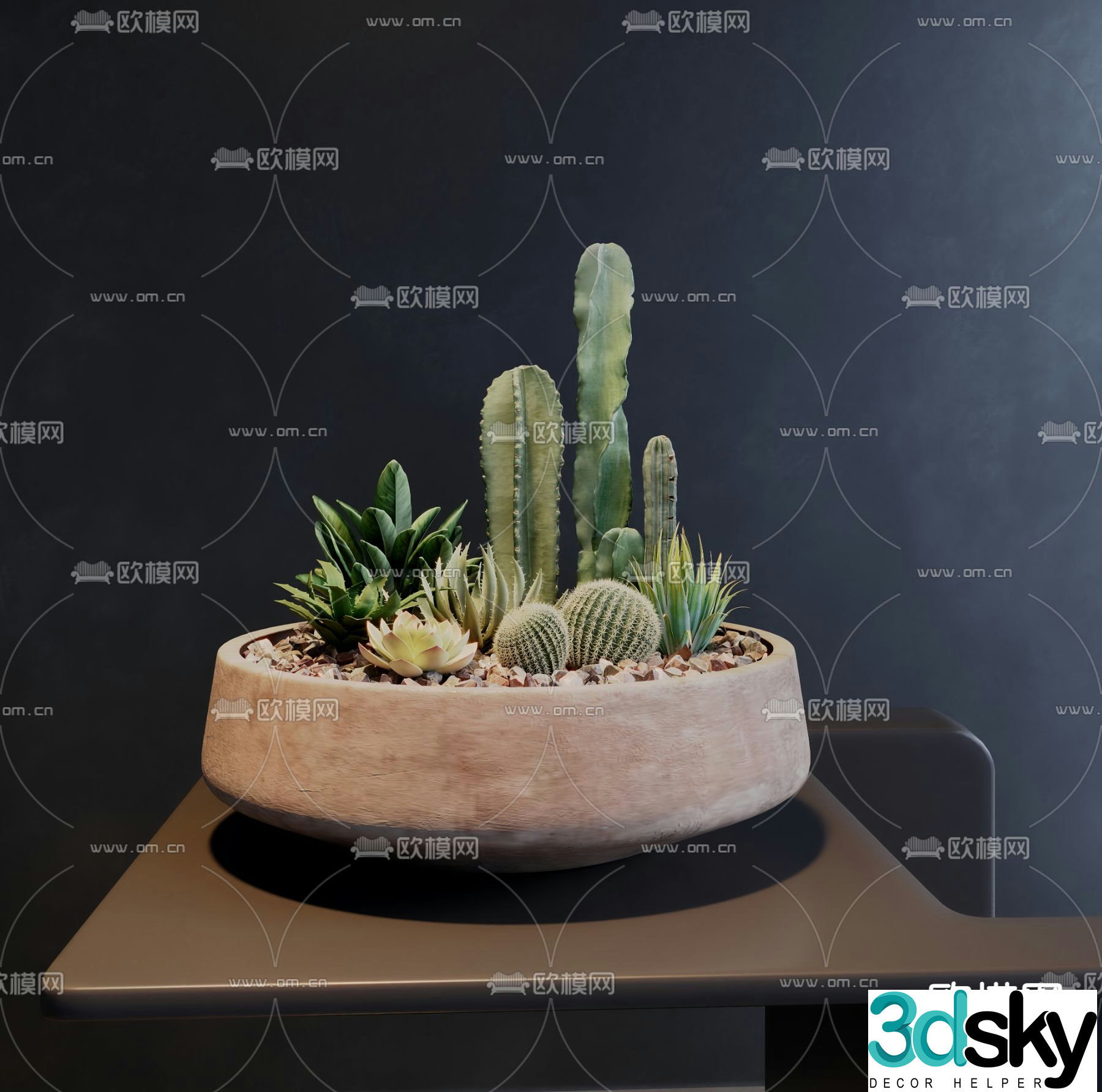 Succulent cactus plant pot 3d model