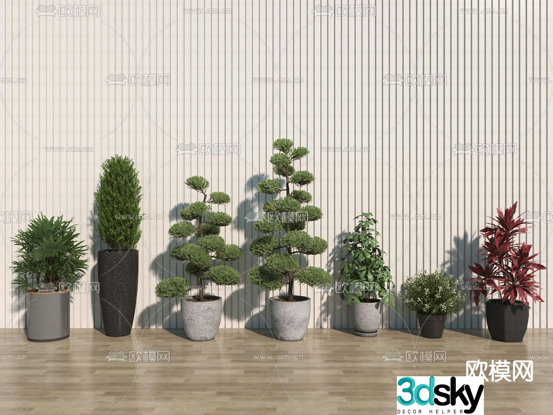 Potted Plant Flower Pot Plant Bonsai 3D Model