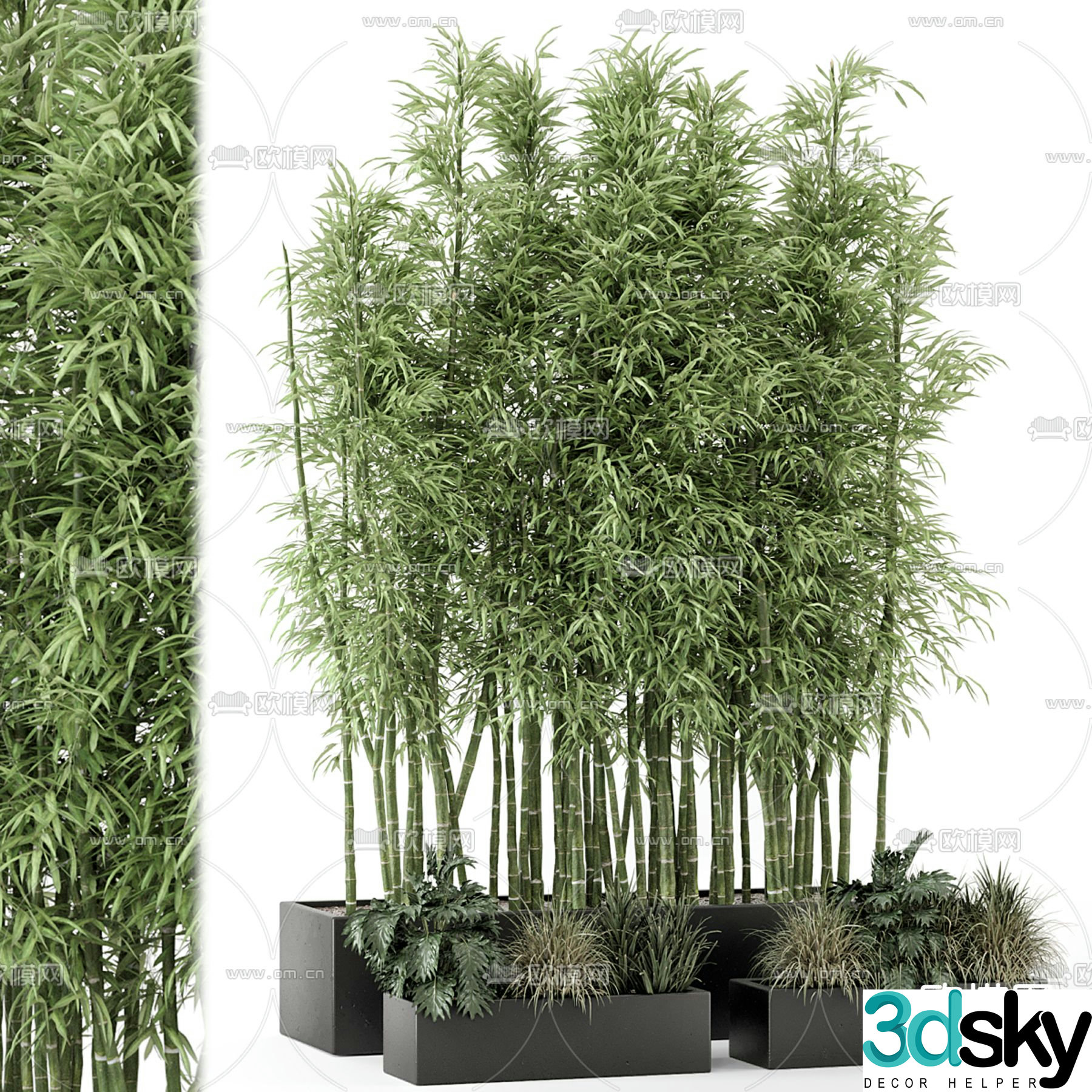 Modern bamboo potted plant 3d model