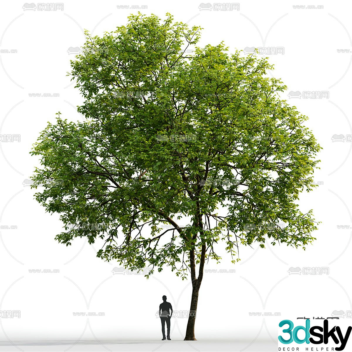 Landscape tree big tree arbor 3d model