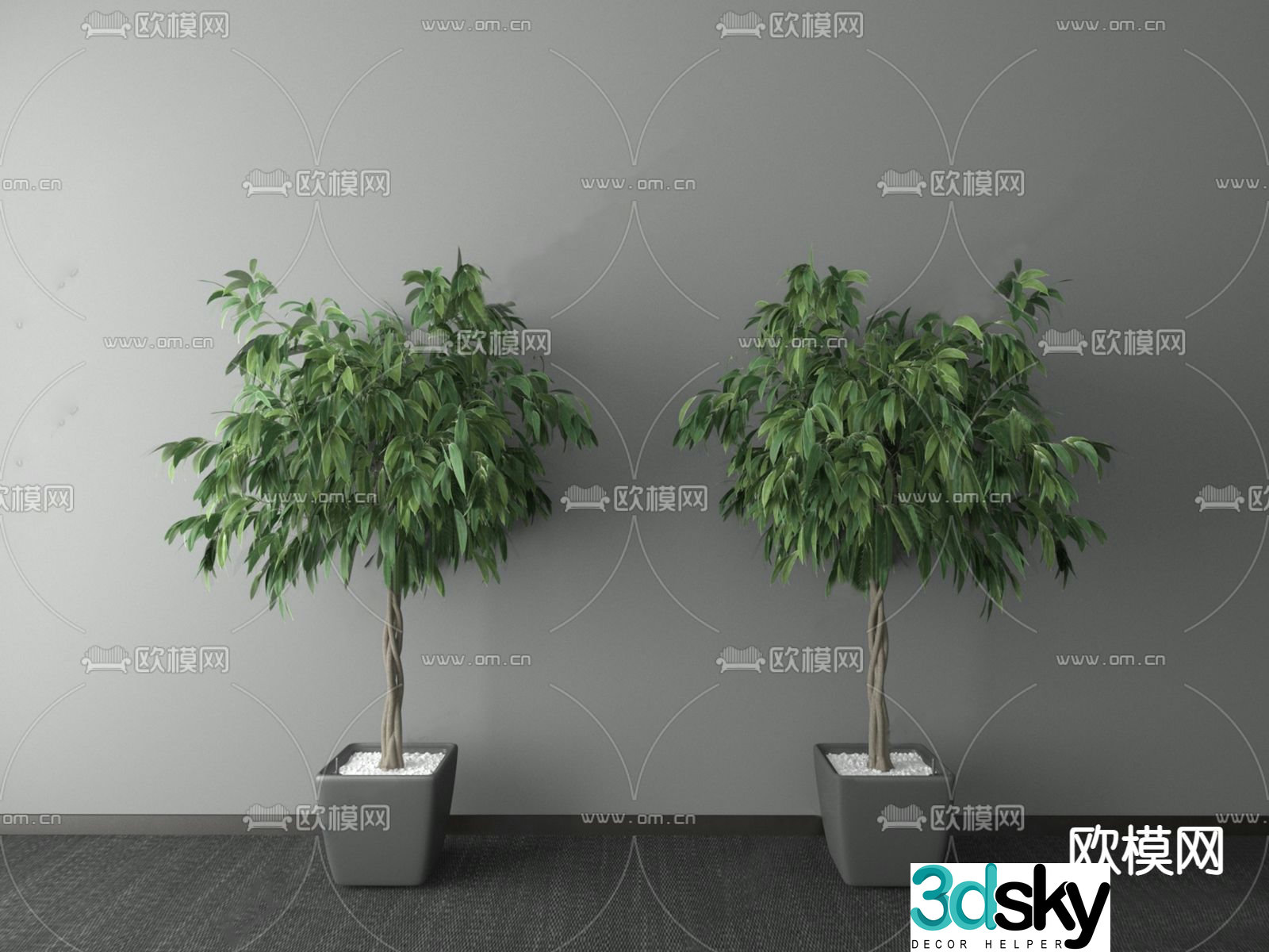 Modern money tree potted 3D model
