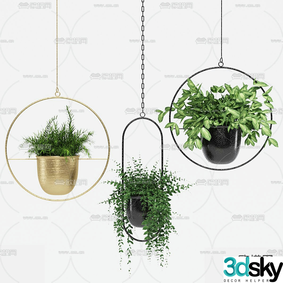 Modern hanging basket green plants hanging plants 3d model