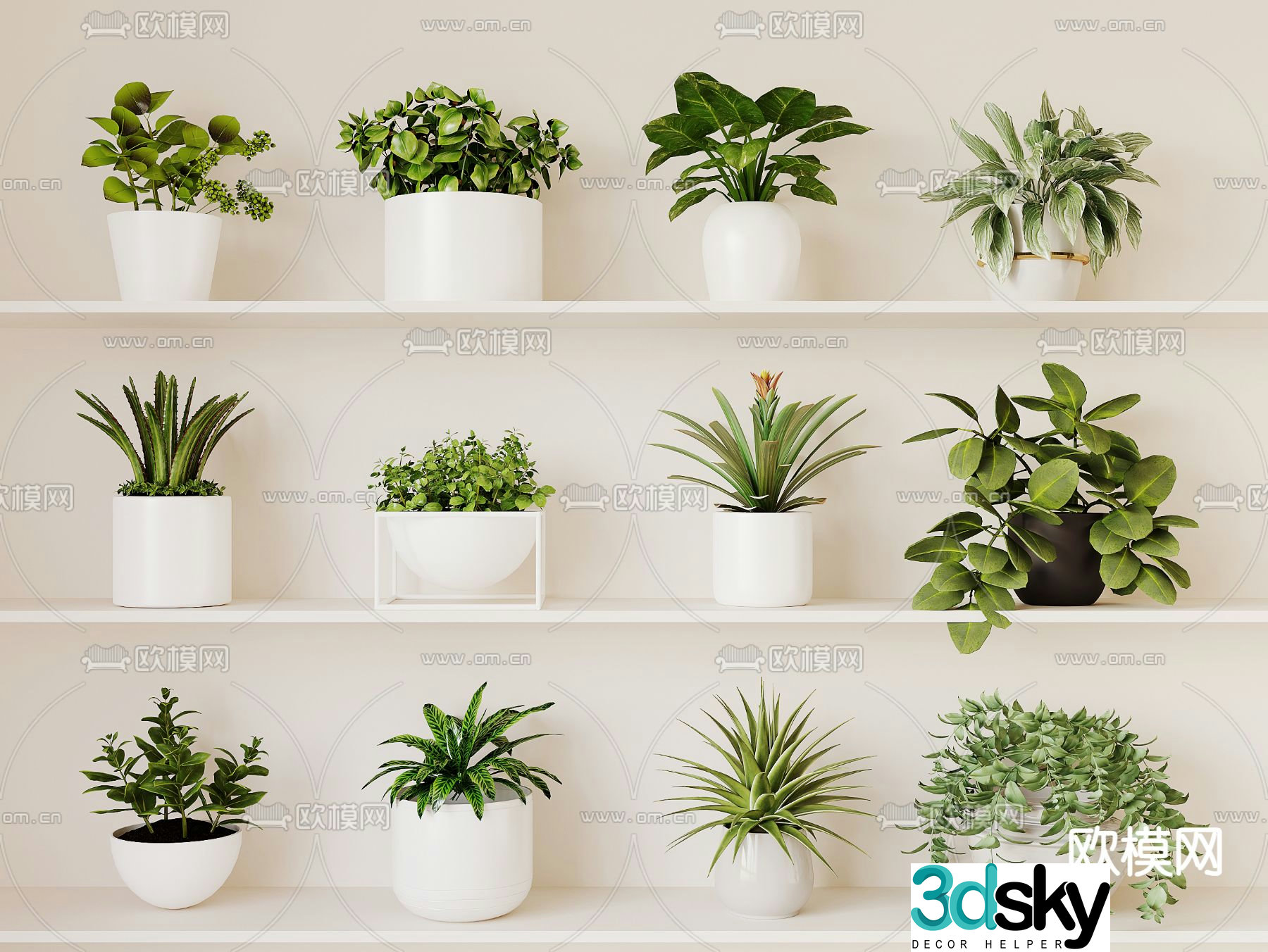 Modern plant potted 3D model
