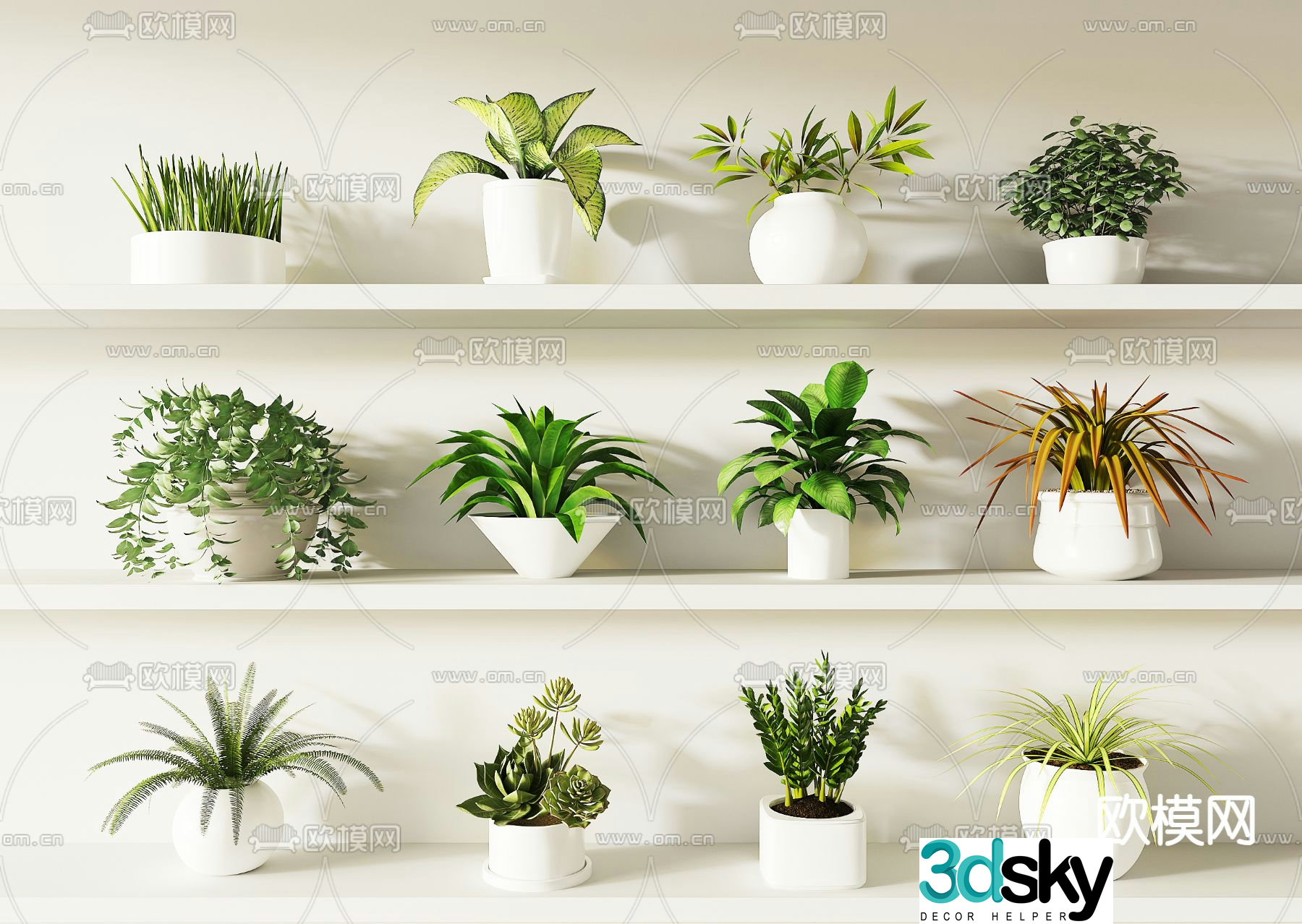 Modern plant potted 3D model