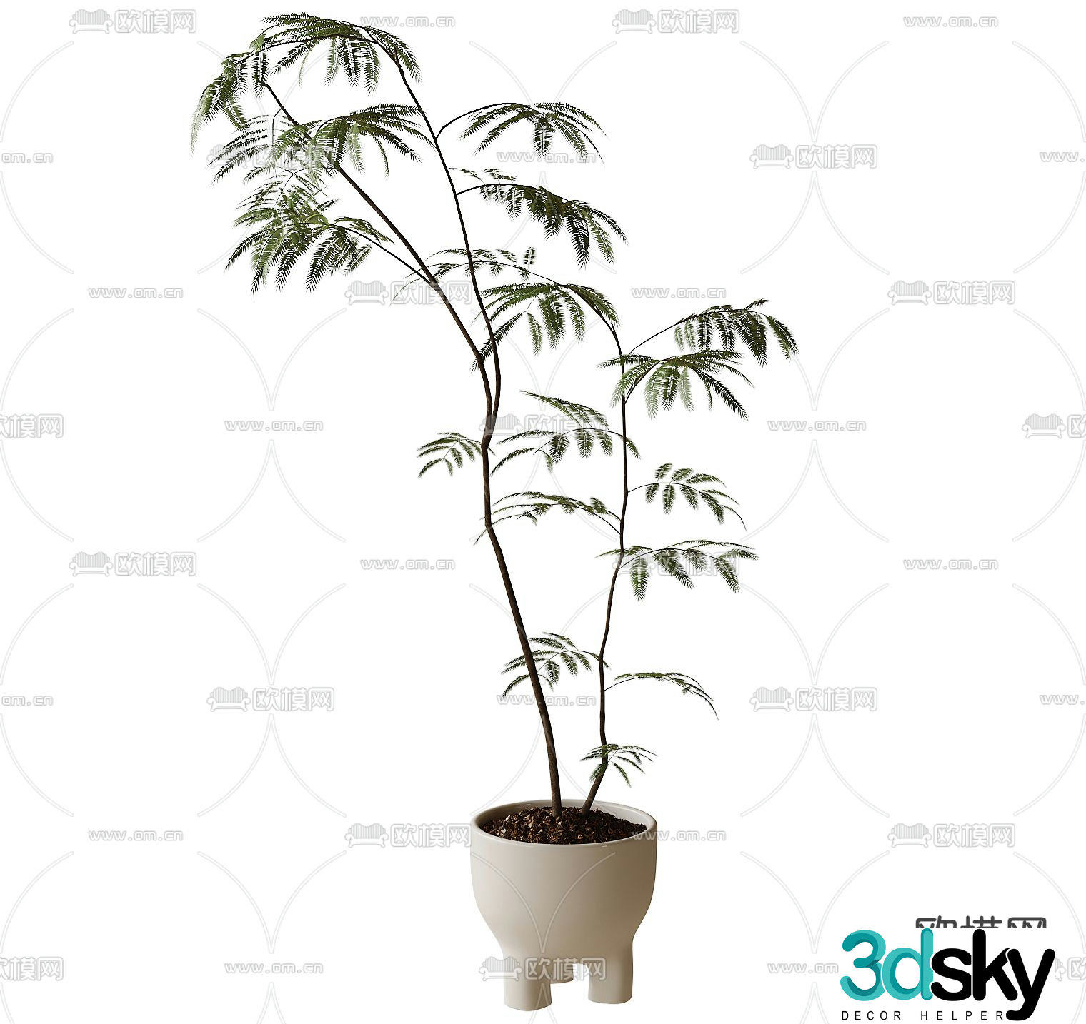 Modern potted bonsai plant green plant 3d model