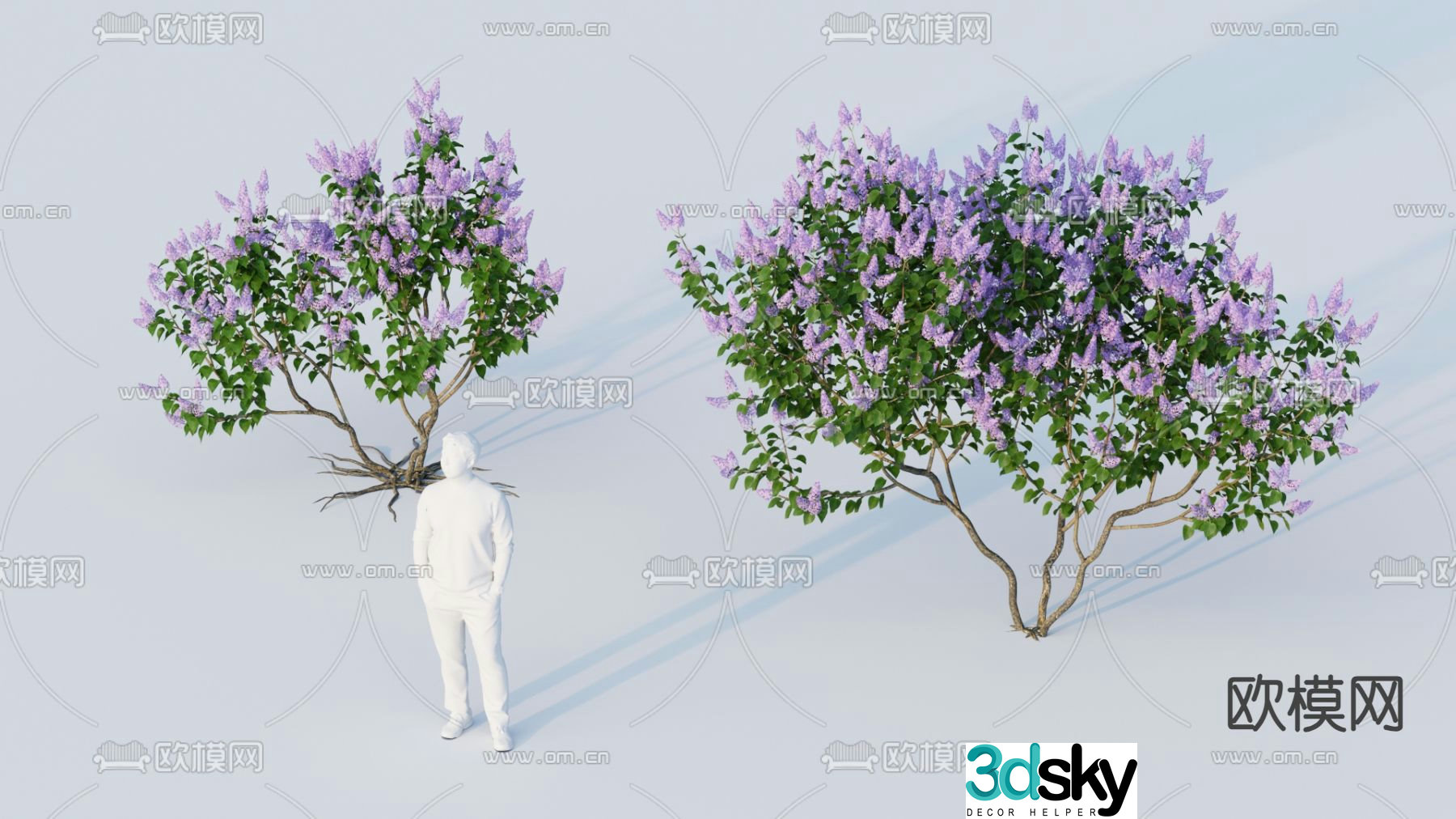 Landscape tree Flower tree Crabbit myrtle tree 3d model