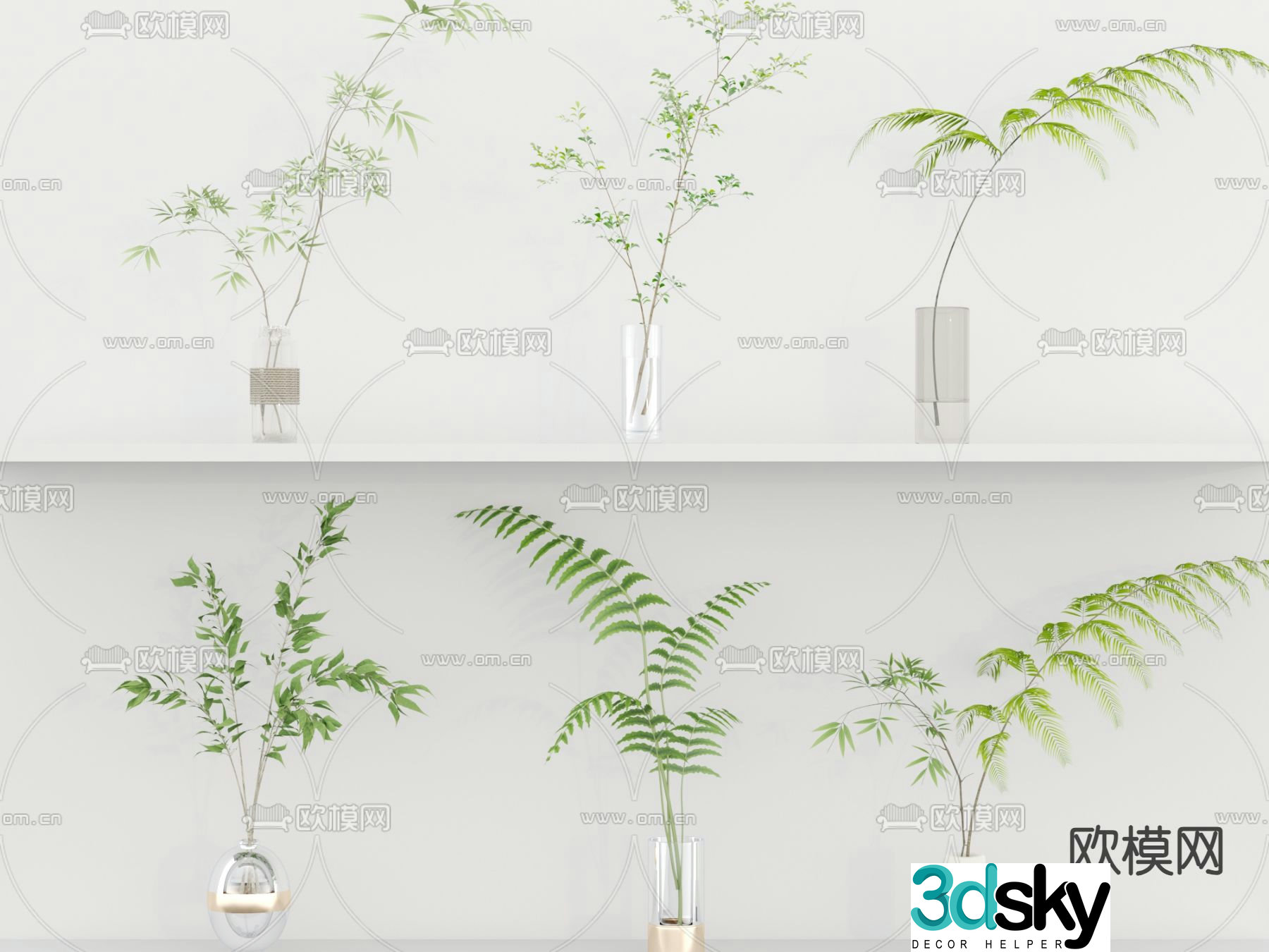 Aquatic plants hydroponic green plants 3D model
