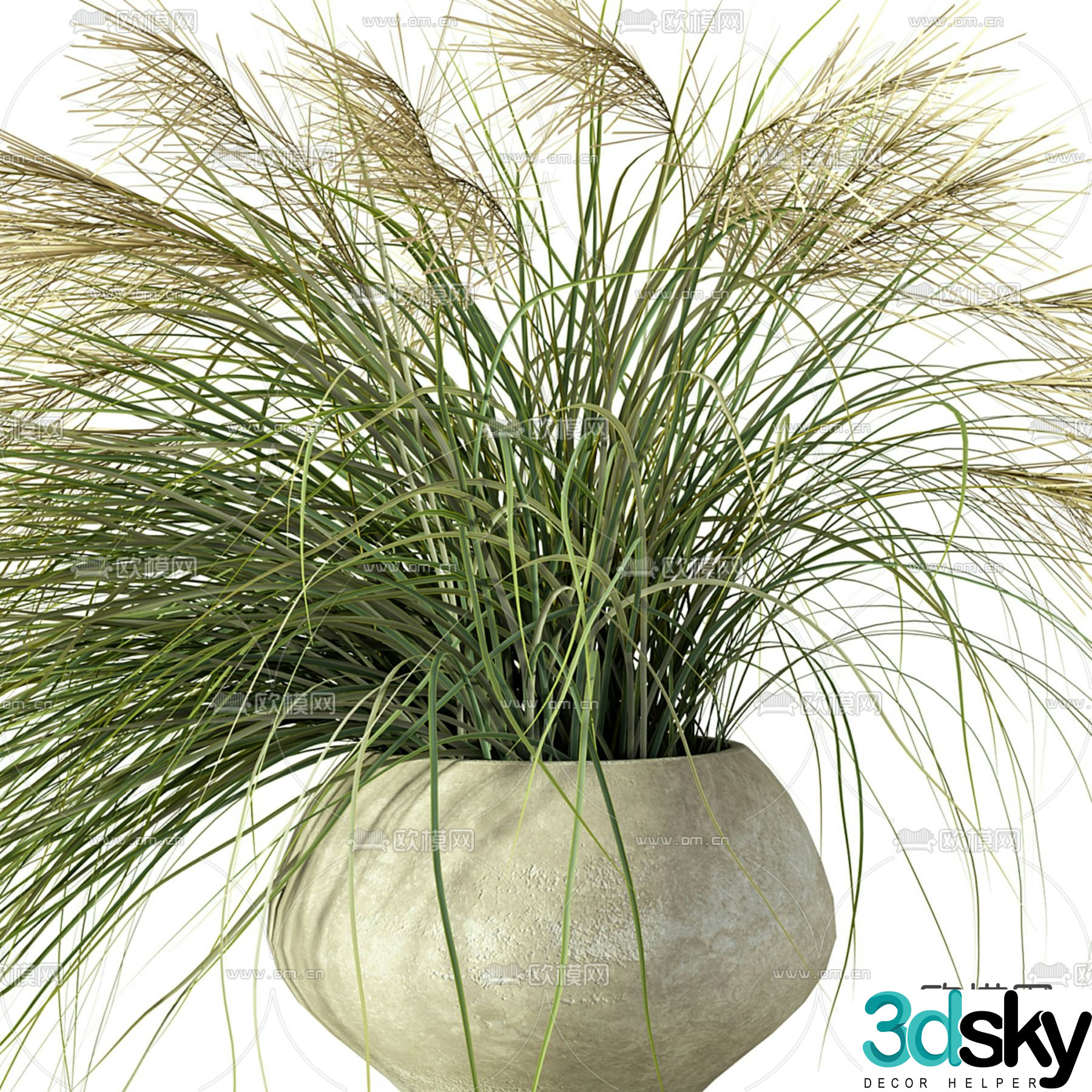 Modern potted plant flower pot 3d model