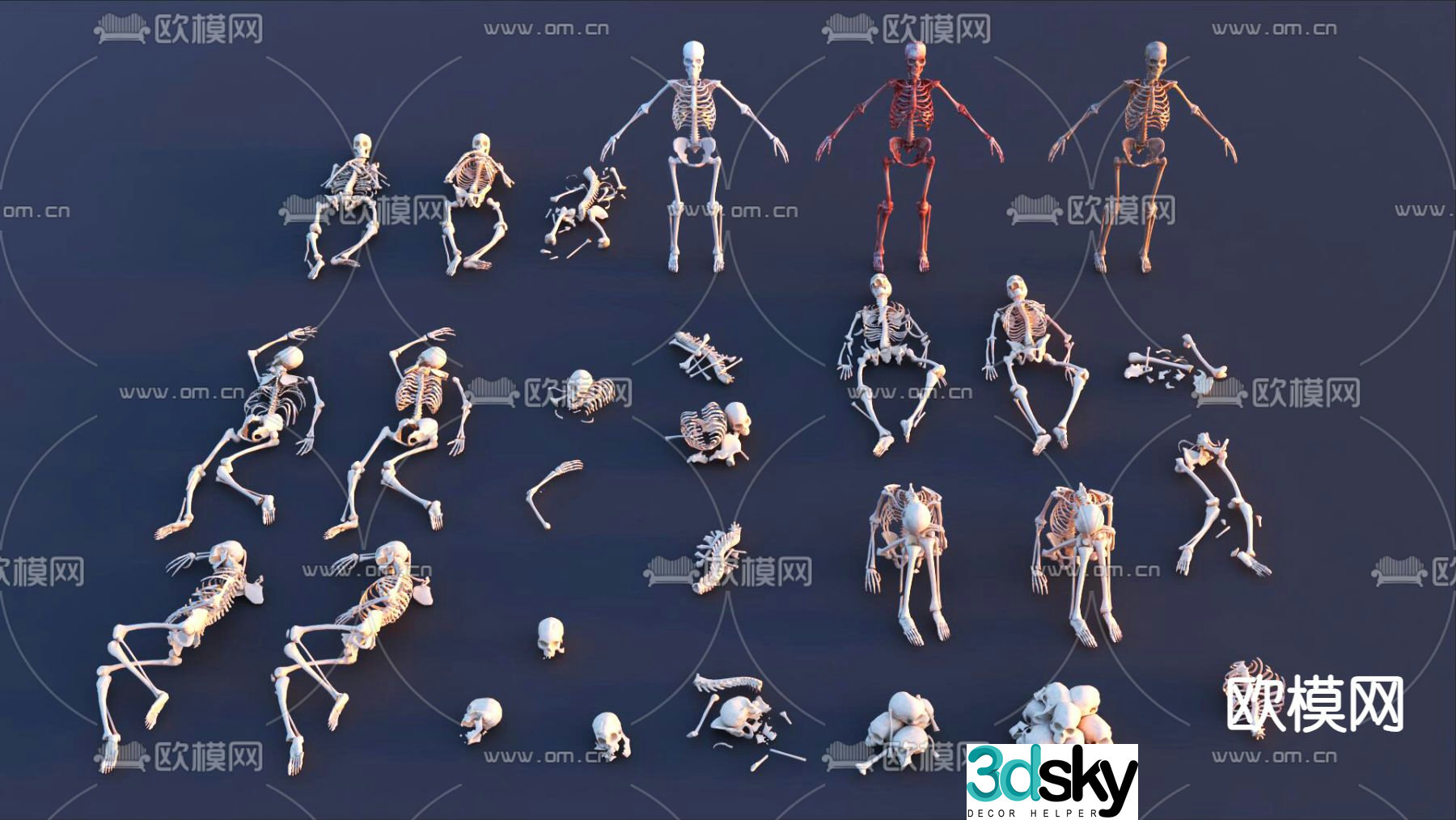 Human skeleton skeleton remains 3d model