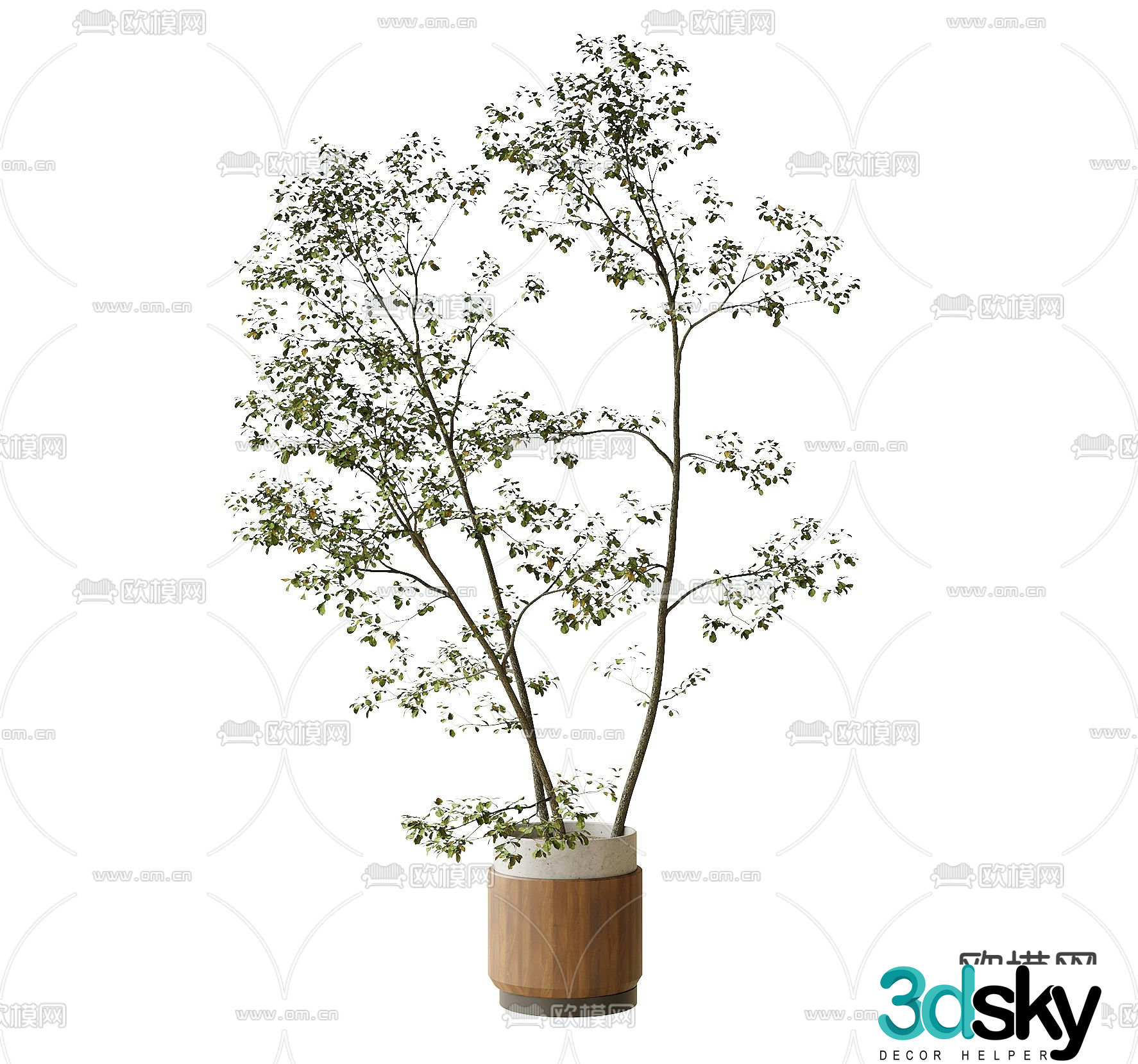 Modern potted plant plant ornaments 3D model