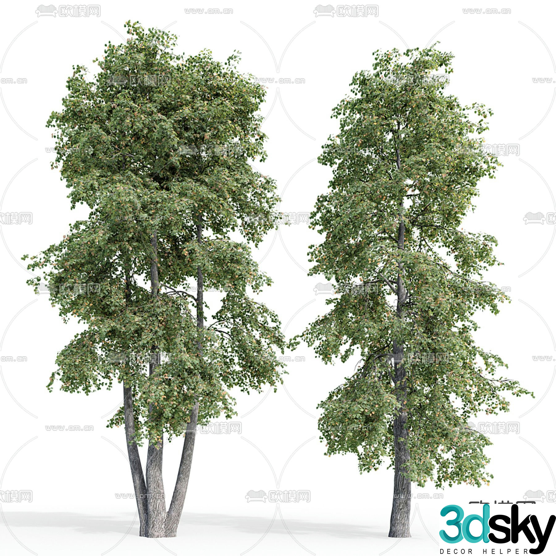 Big tree Bodhi tree Landscape tree 3d model