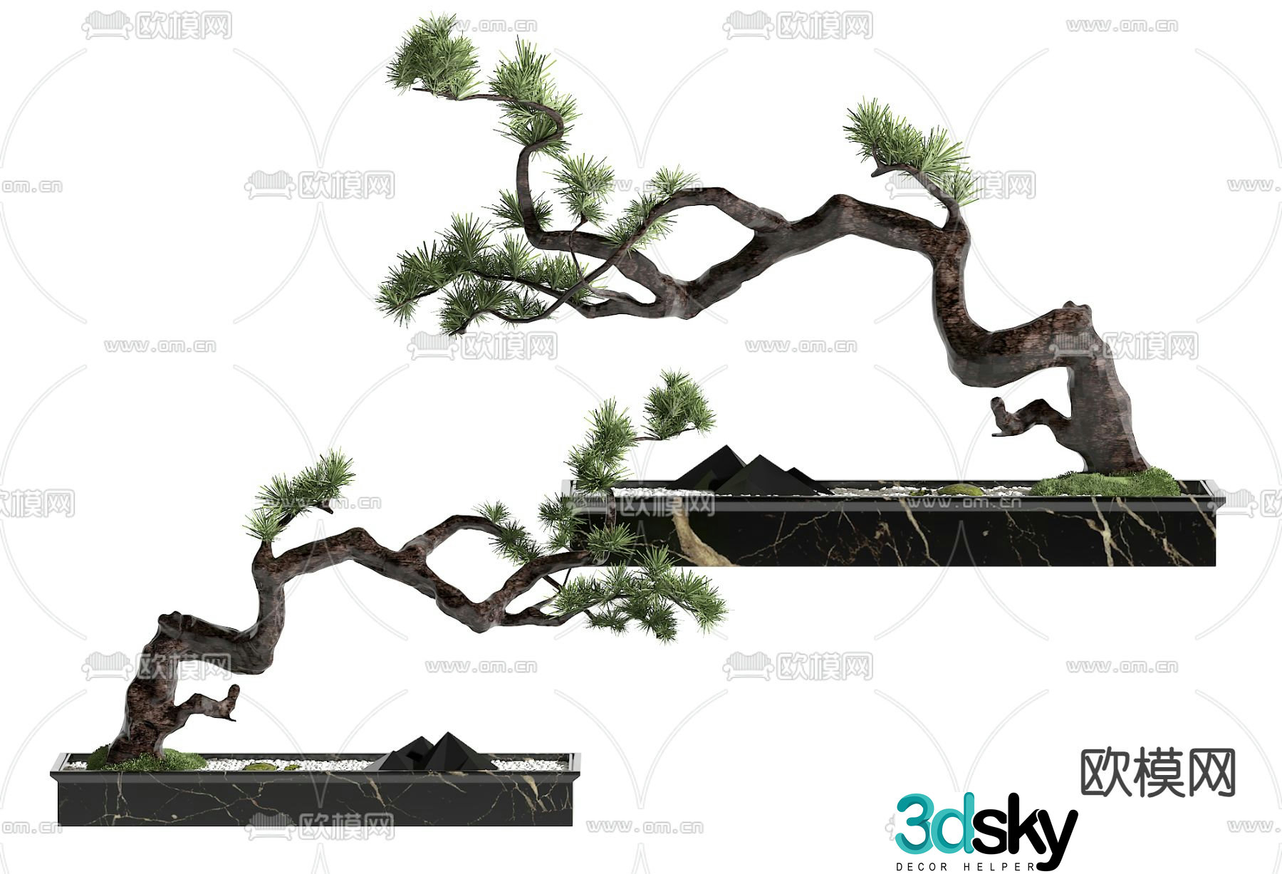 New Chinese style potted plants bonsai pine tree 3d model