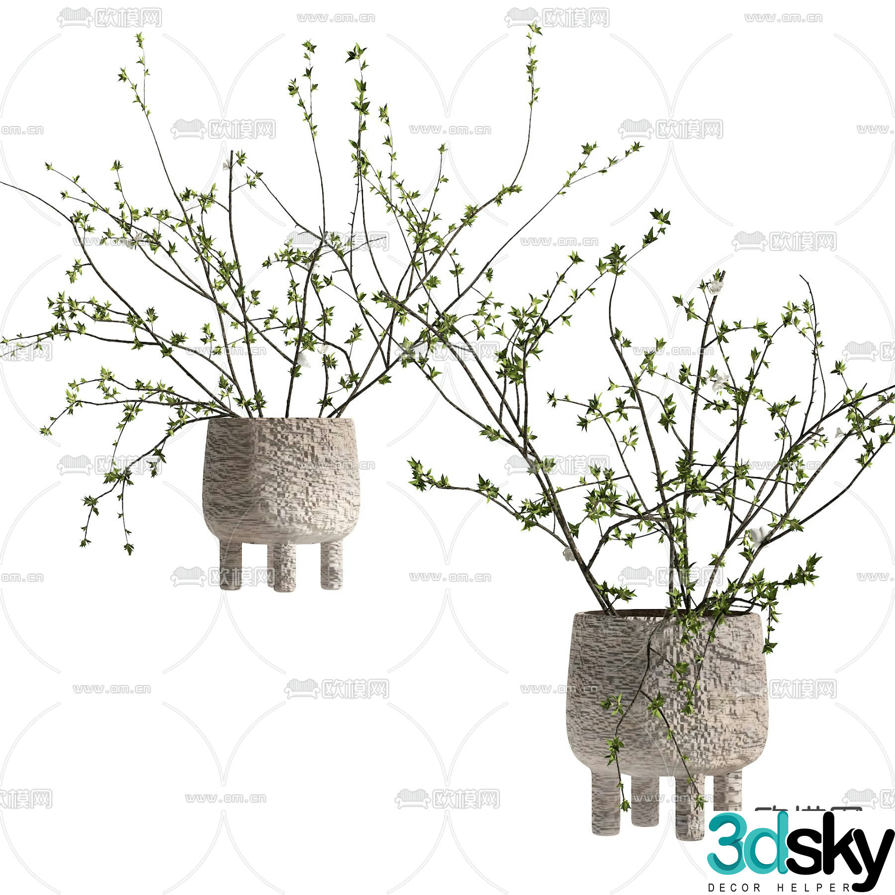 Wasabi aquatic plants hydroponic green plants 3D model