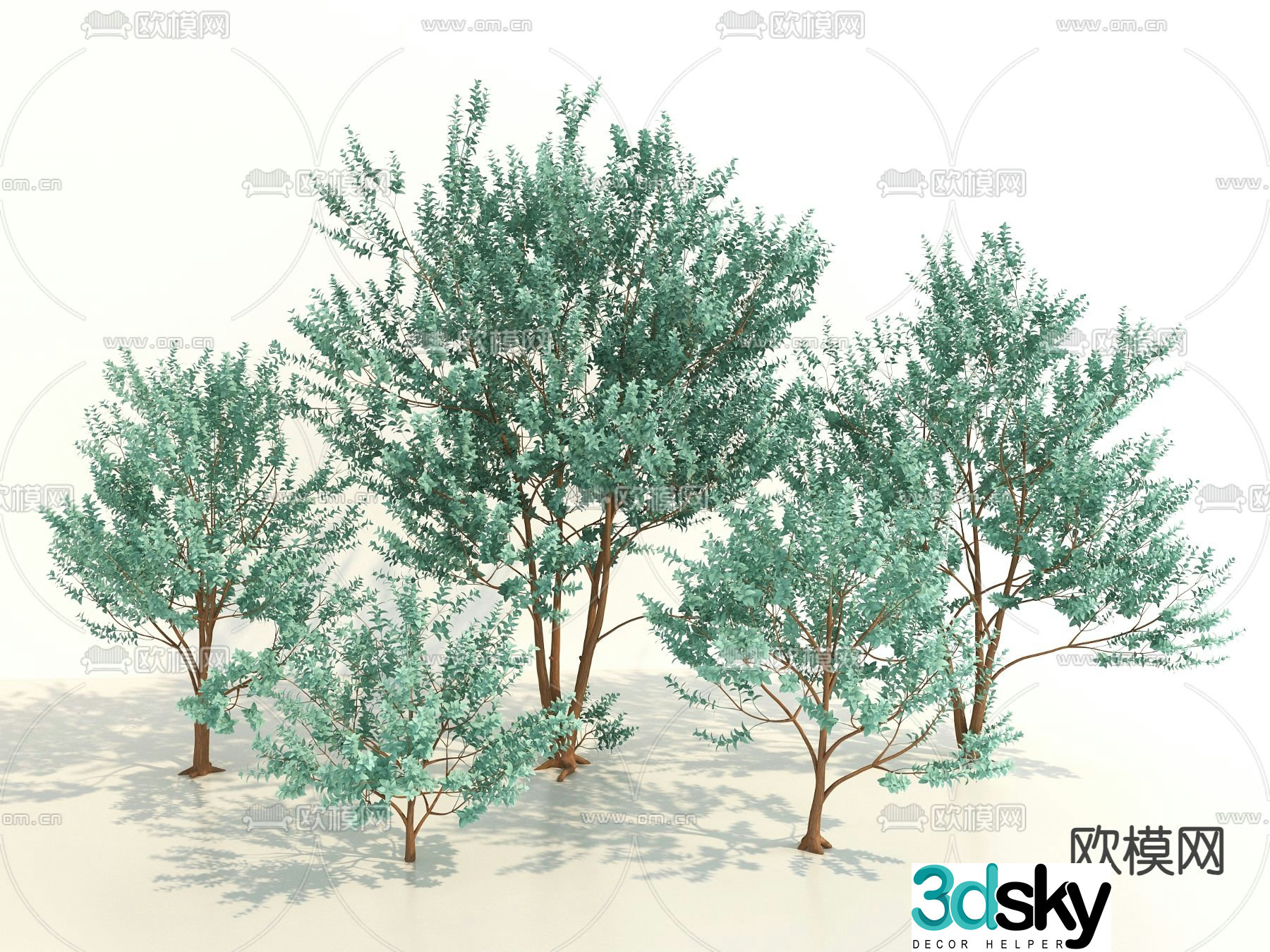 Modern plants Landscape tree 3d model