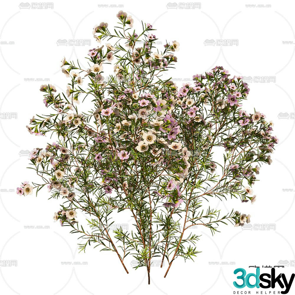 Modern landscape tree plant 3d model