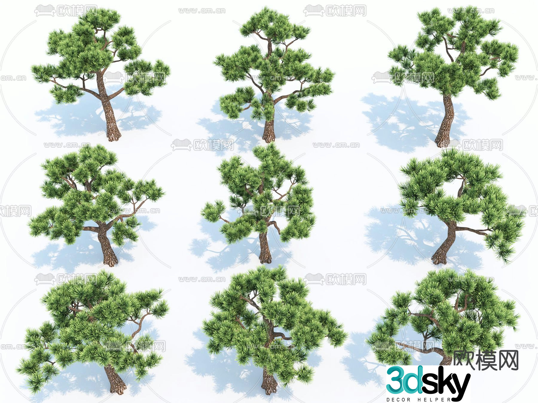 Modern Trees 3d Model