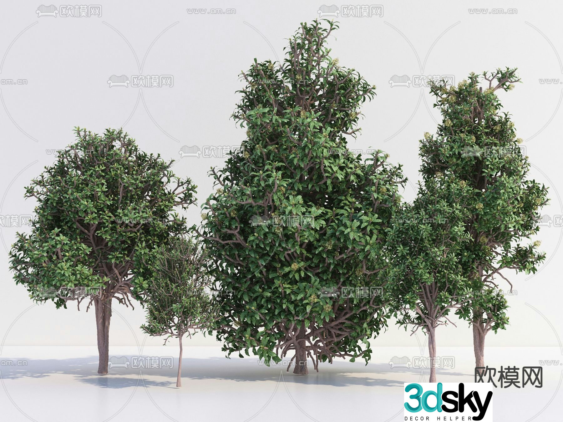 Modern Trees 3d Model