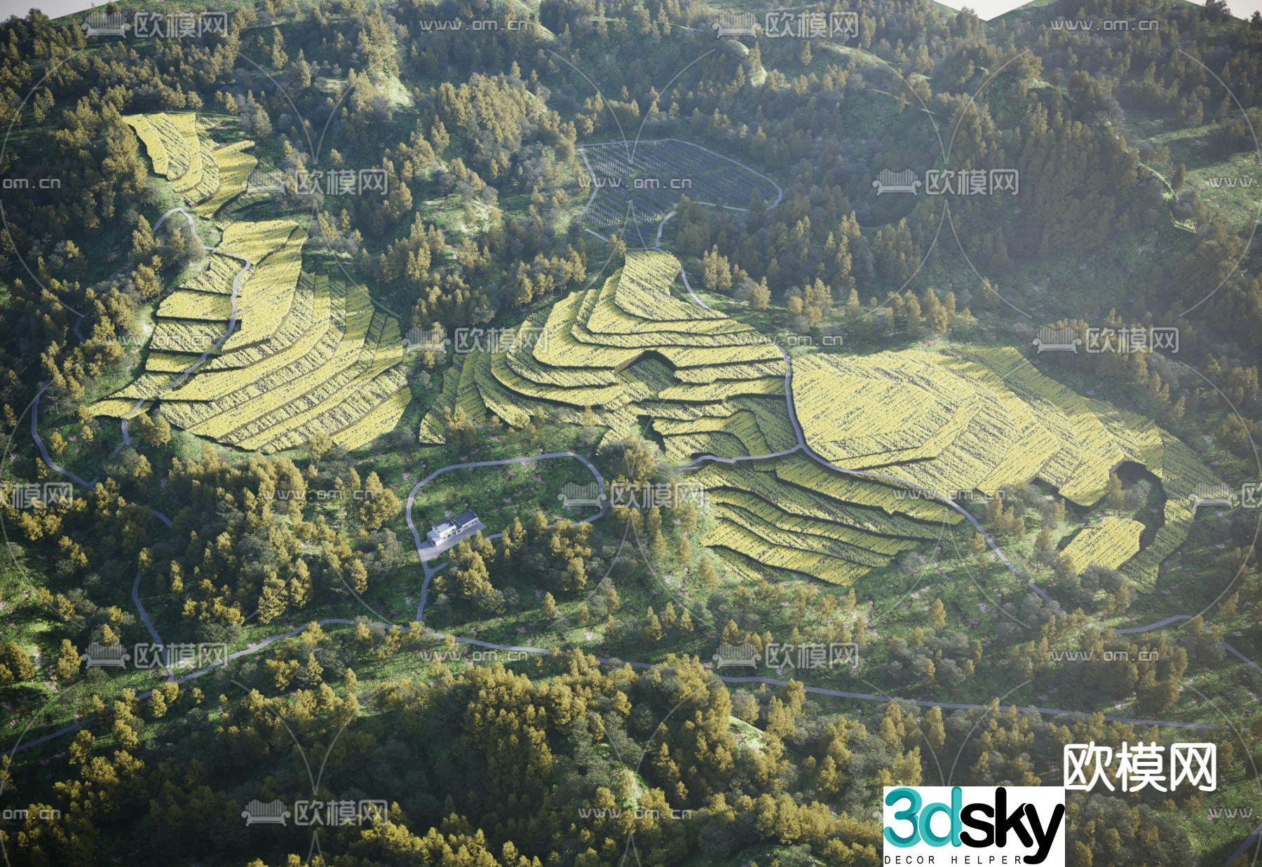Mountain landscape terraces 3d model